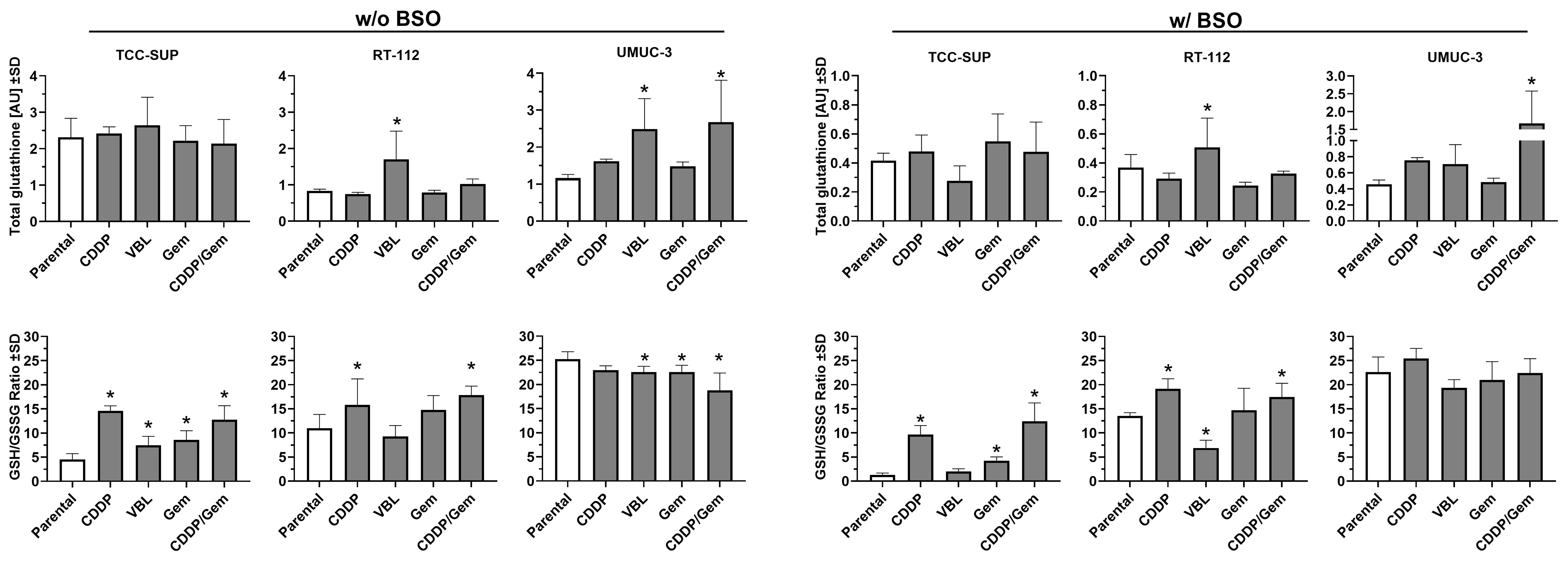 Distinct adaptive strategies to cisplatin, vinblastine and gemcitabine in a panel of chemoresistant bladder cancer cell lines
