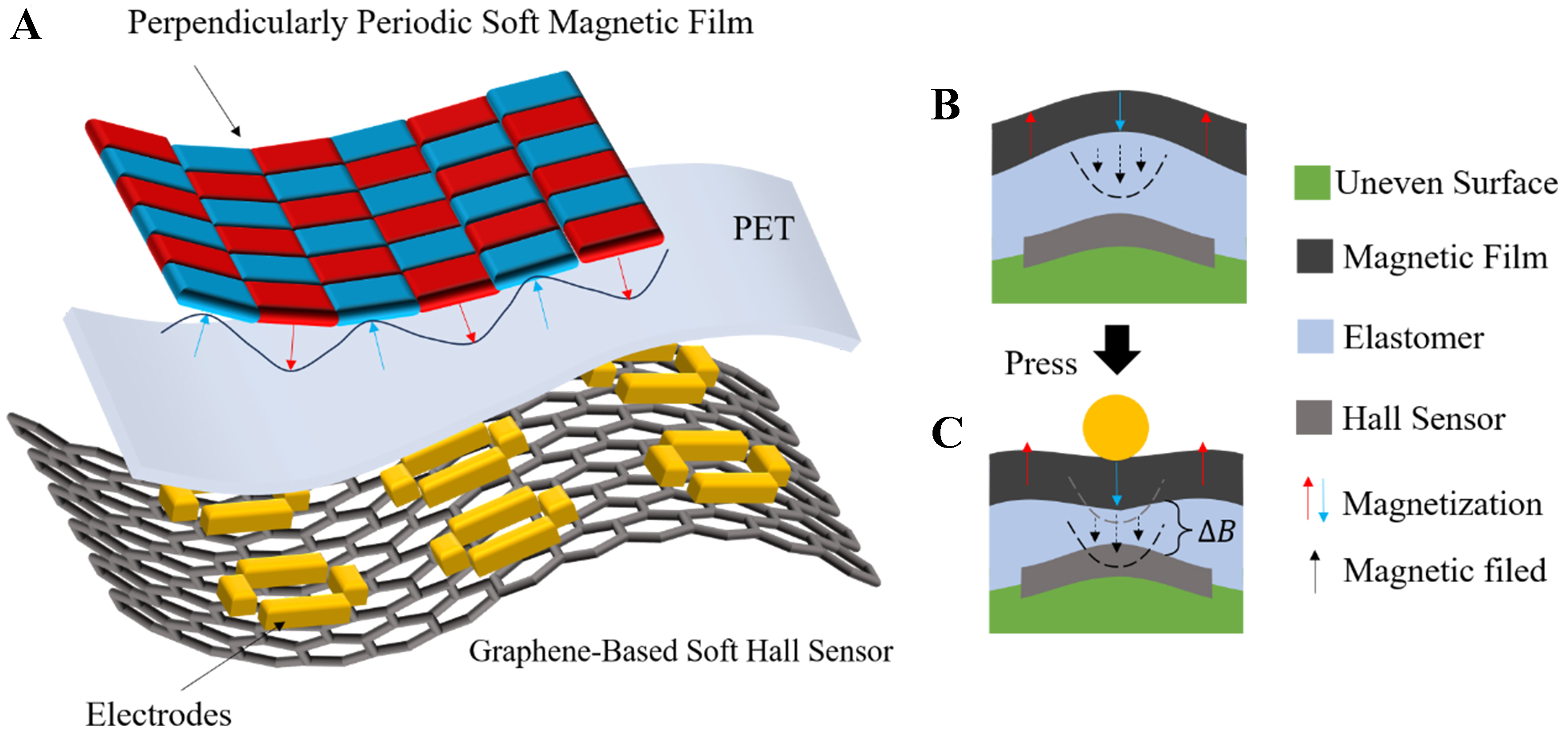 Graphene-based flexible magnetic tactile sensor with vertically periodic magnetization for enhanced spatial resolution