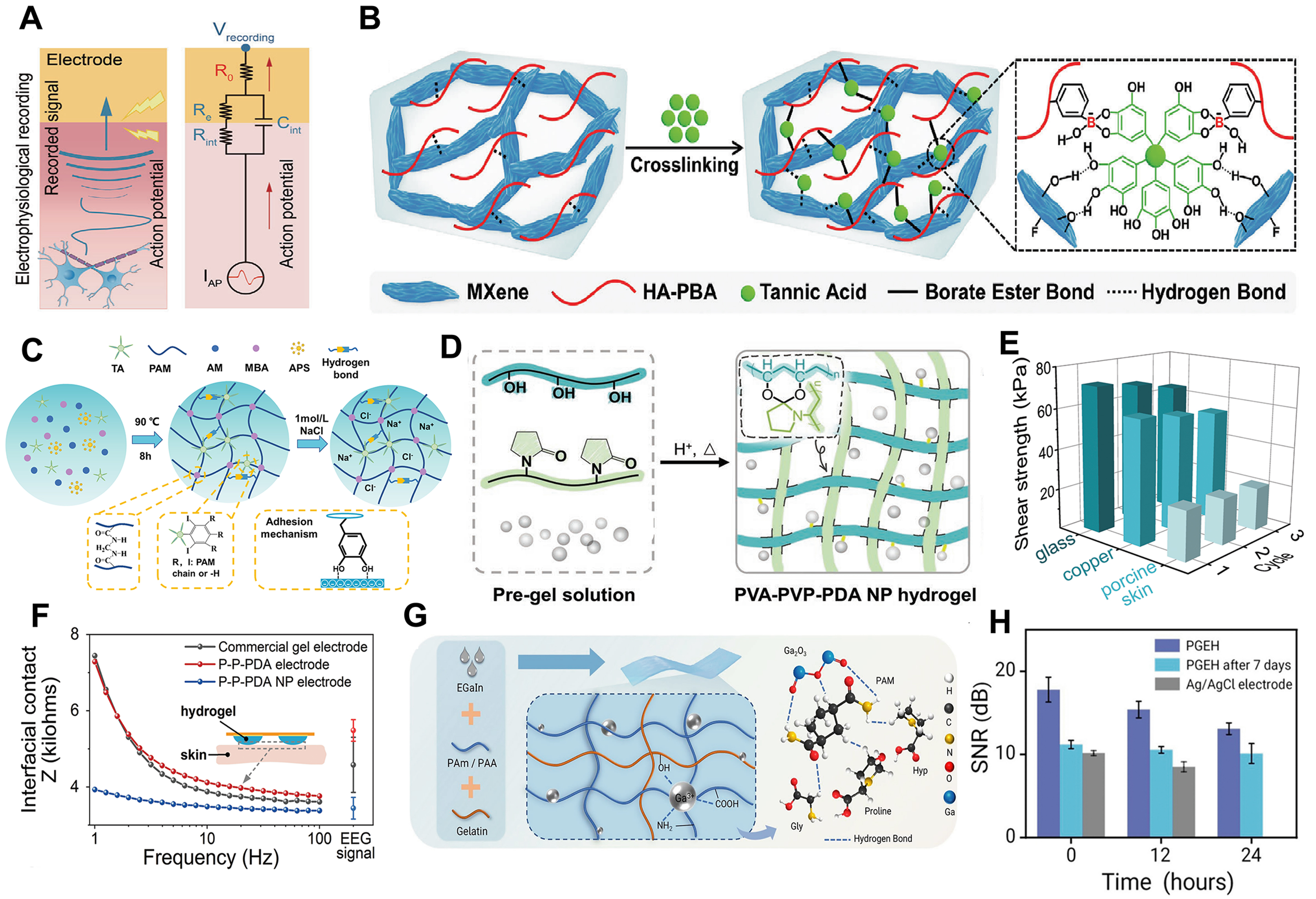 Engineering hydrogel-based conformal epidermal electrodes for human-machine interaction