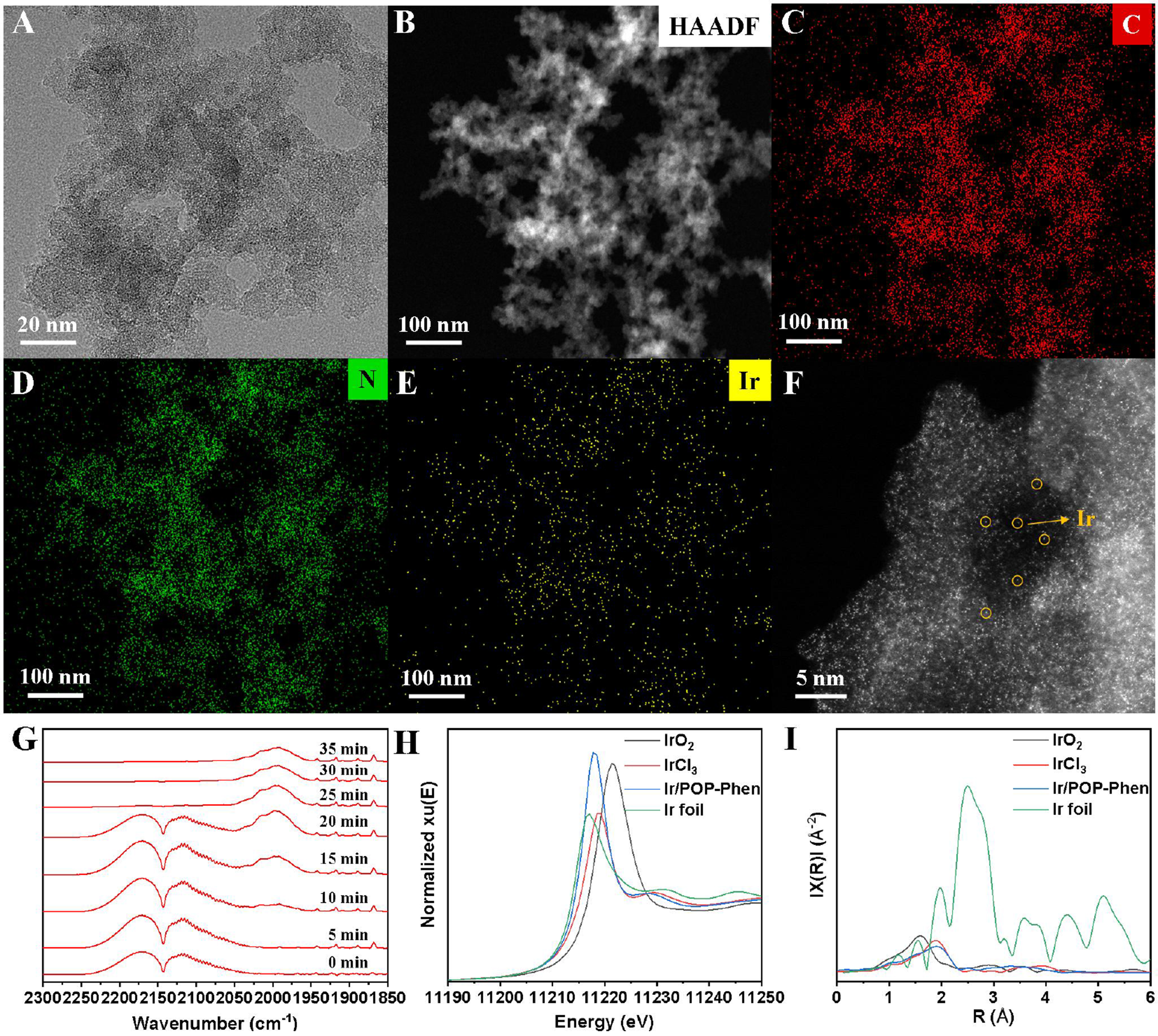 Reductive O-formylation of carbon dioxide and alcohols over porous phenanthroline-based polymer supported single iridium atom catalyst
