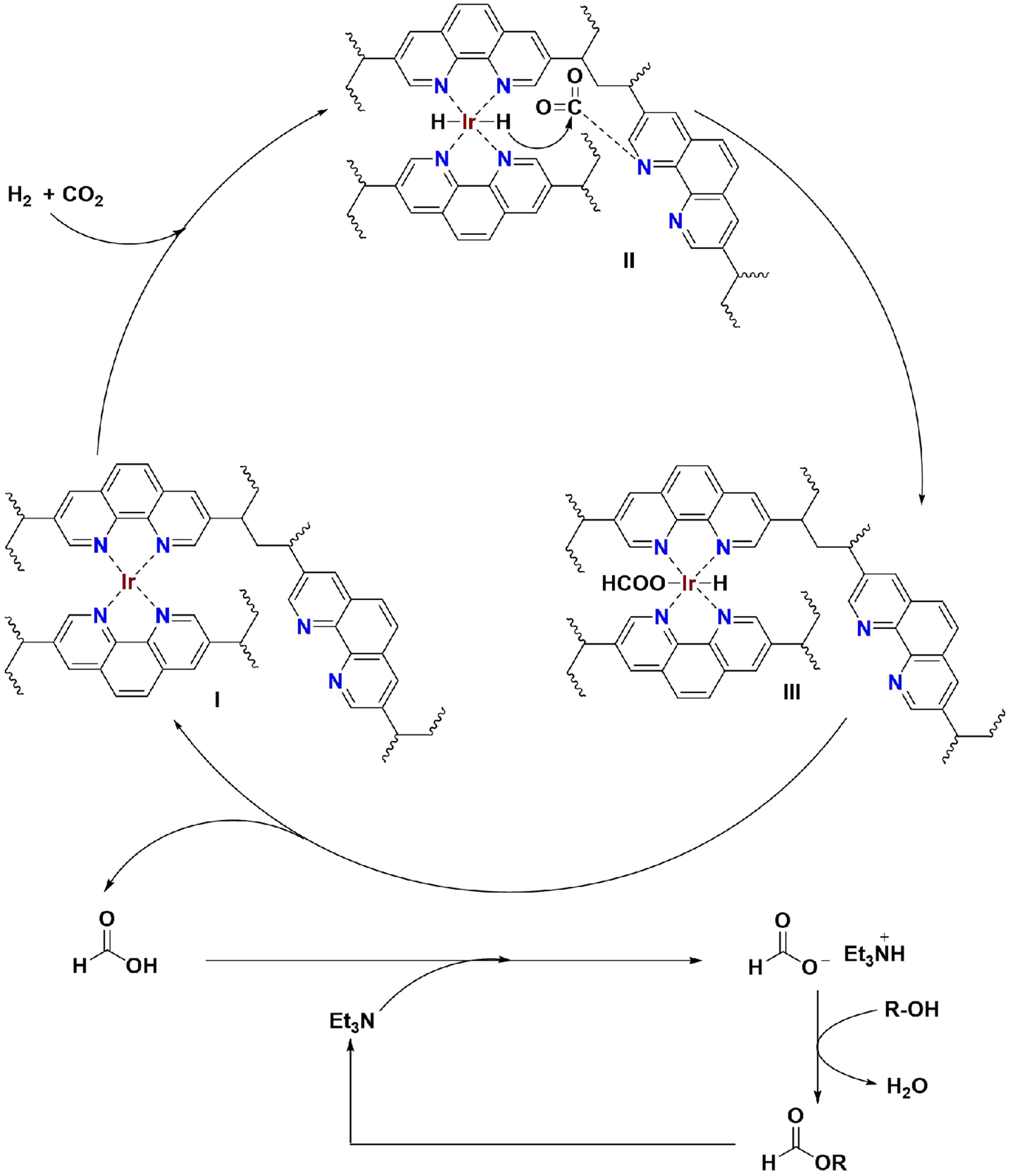 Reductive O-formylation of carbon dioxide and alcohols over porous phenanthroline-based polymer supported single iridium atom catalyst