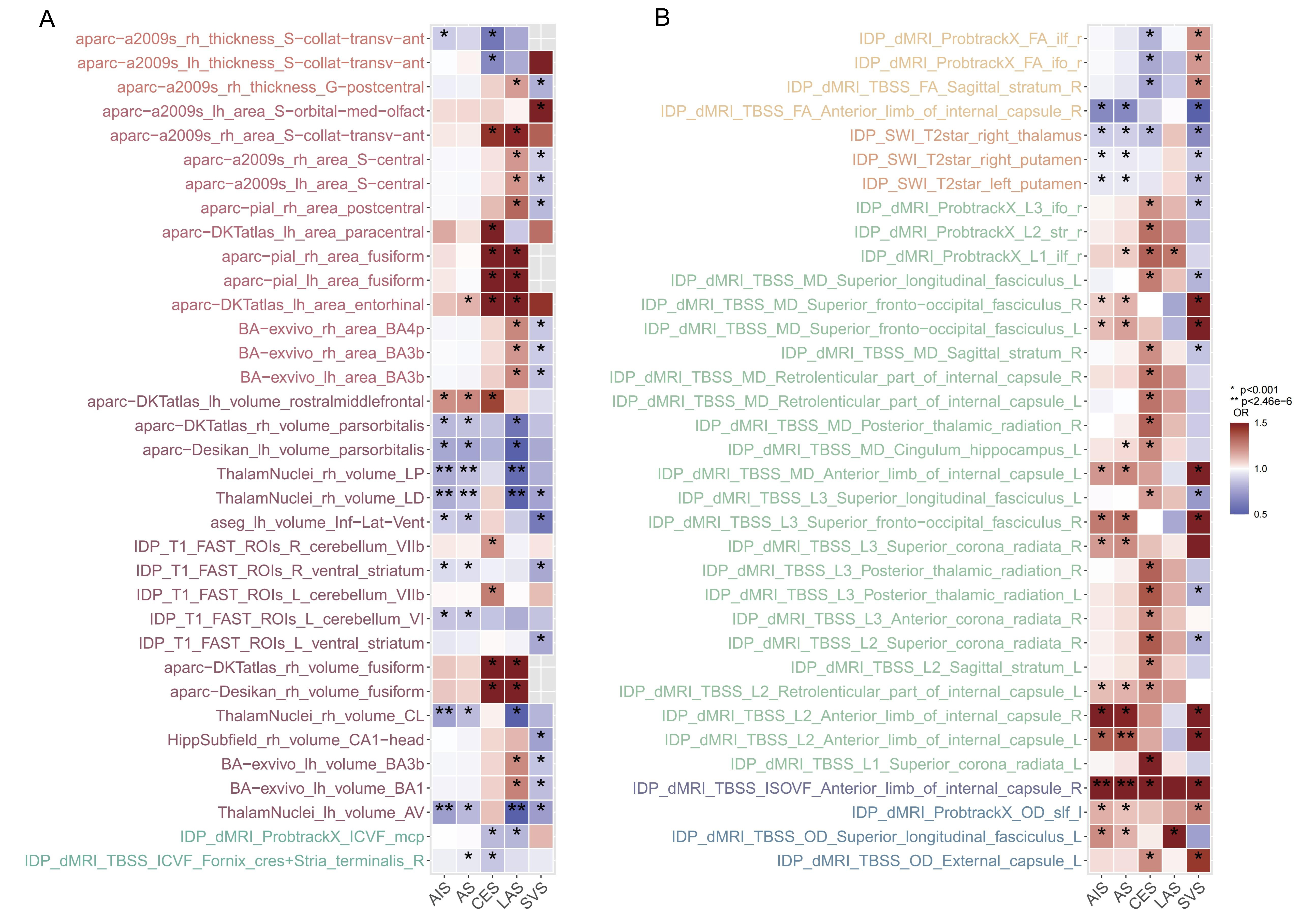 Bidirectional Mendelian randomization study of brain imaging-derived phenotypes unveils causal associations between thalamic nuclei volume and stroke risk