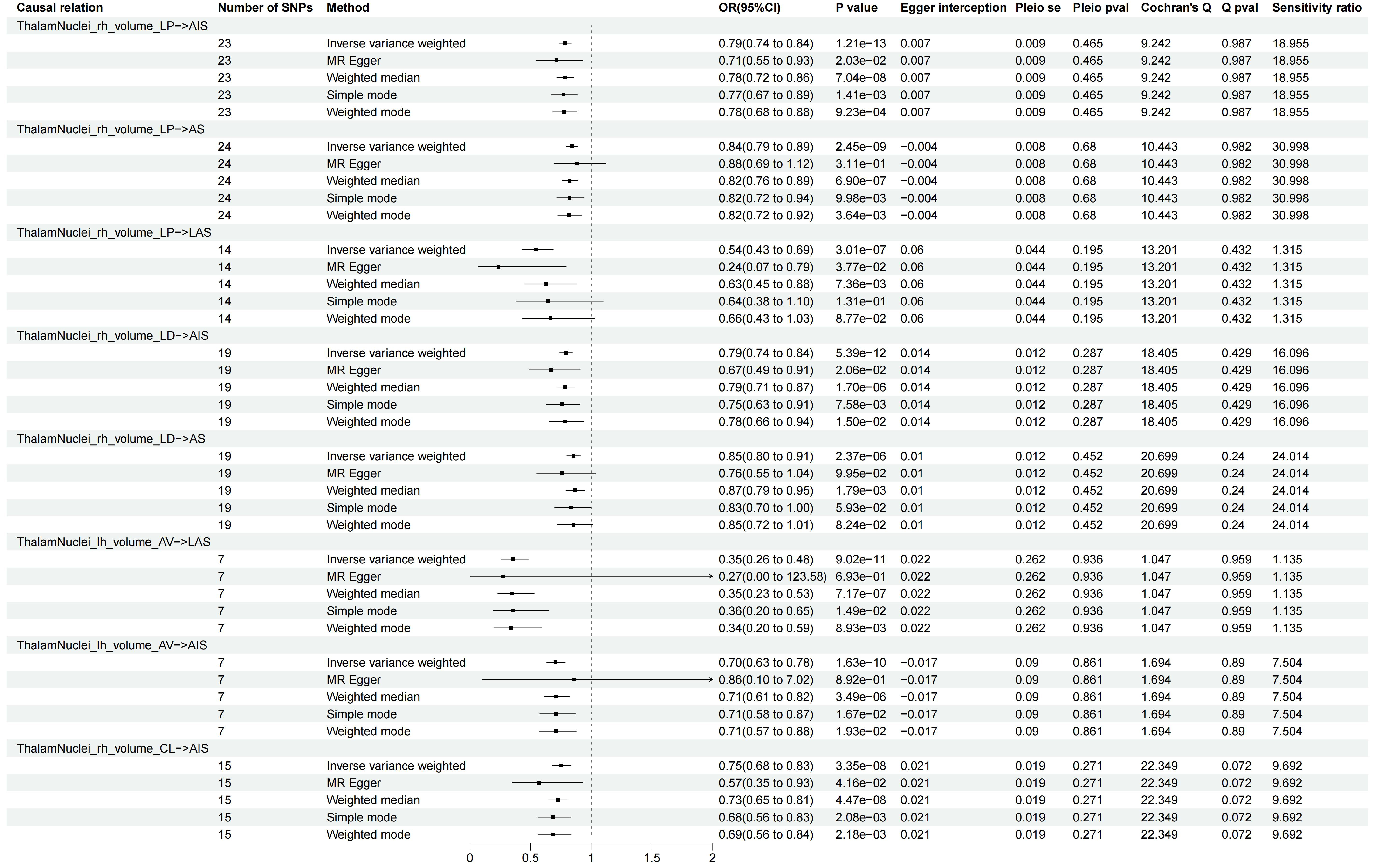 Bidirectional Mendelian randomization study of brain imaging-derived phenotypes unveils causal associations between thalamic nuclei volume and stroke risk