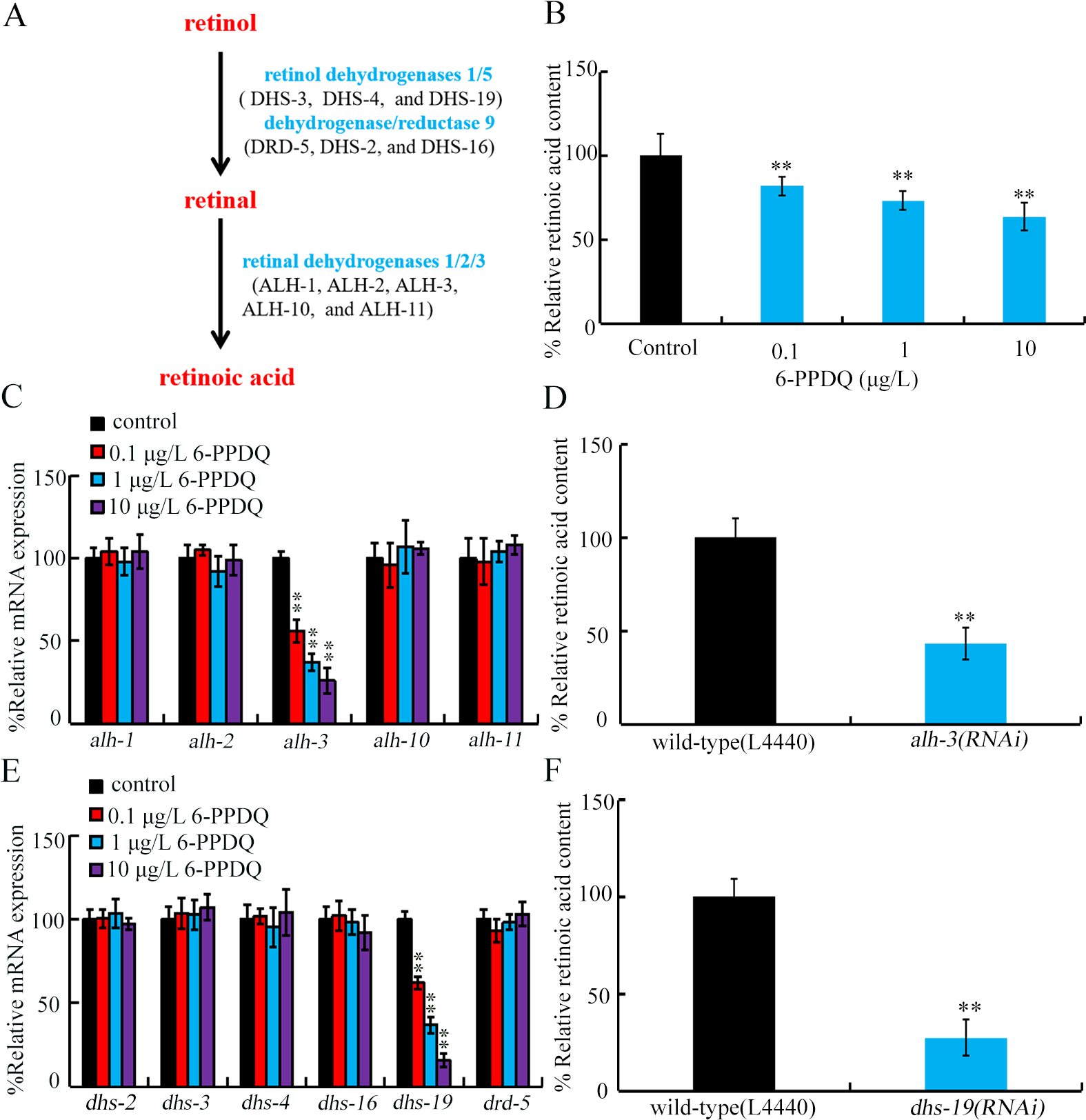 6-PPD quinone-inhibited retinoic acid synthesis mediates toxicity through feedback loop between ALH-3/DHS-19-SEX-1 axis and intestinal signals in <i>Caenorhabditis elegans</i>
