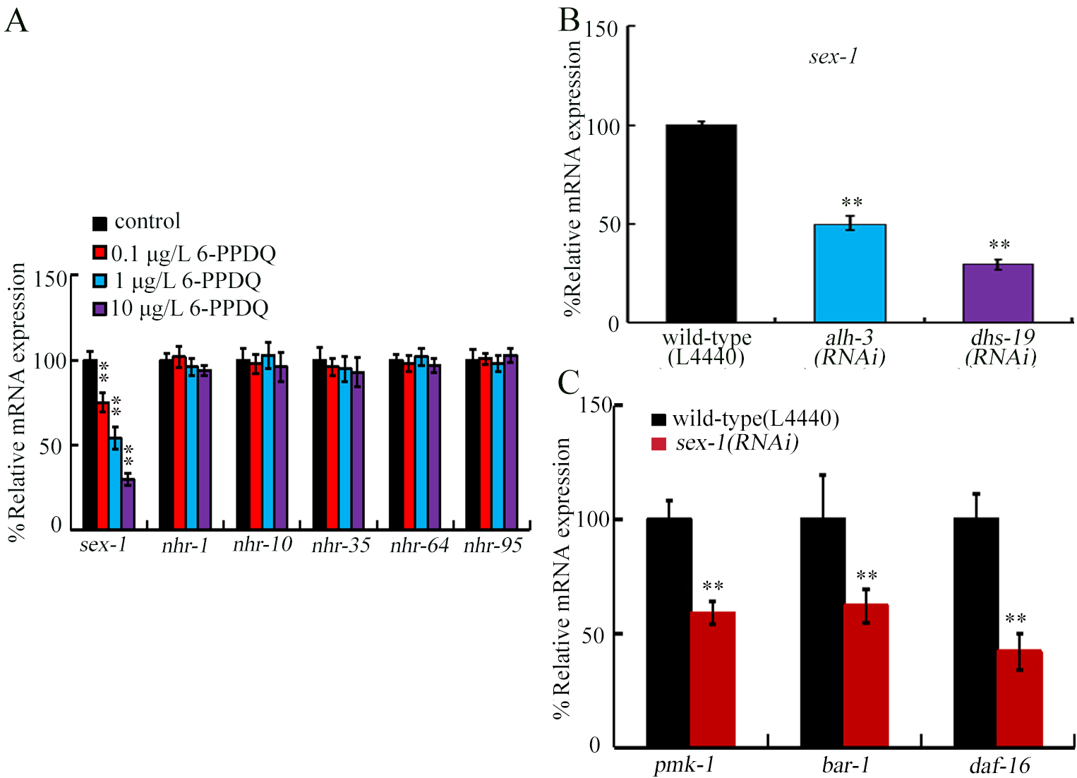 6-PPD quinone-inhibited retinoic acid synthesis mediates toxicity through feedback loop between ALH-3/DHS-19-SEX-1 axis and intestinal signals in <i>Caenorhabditis elegans</i>