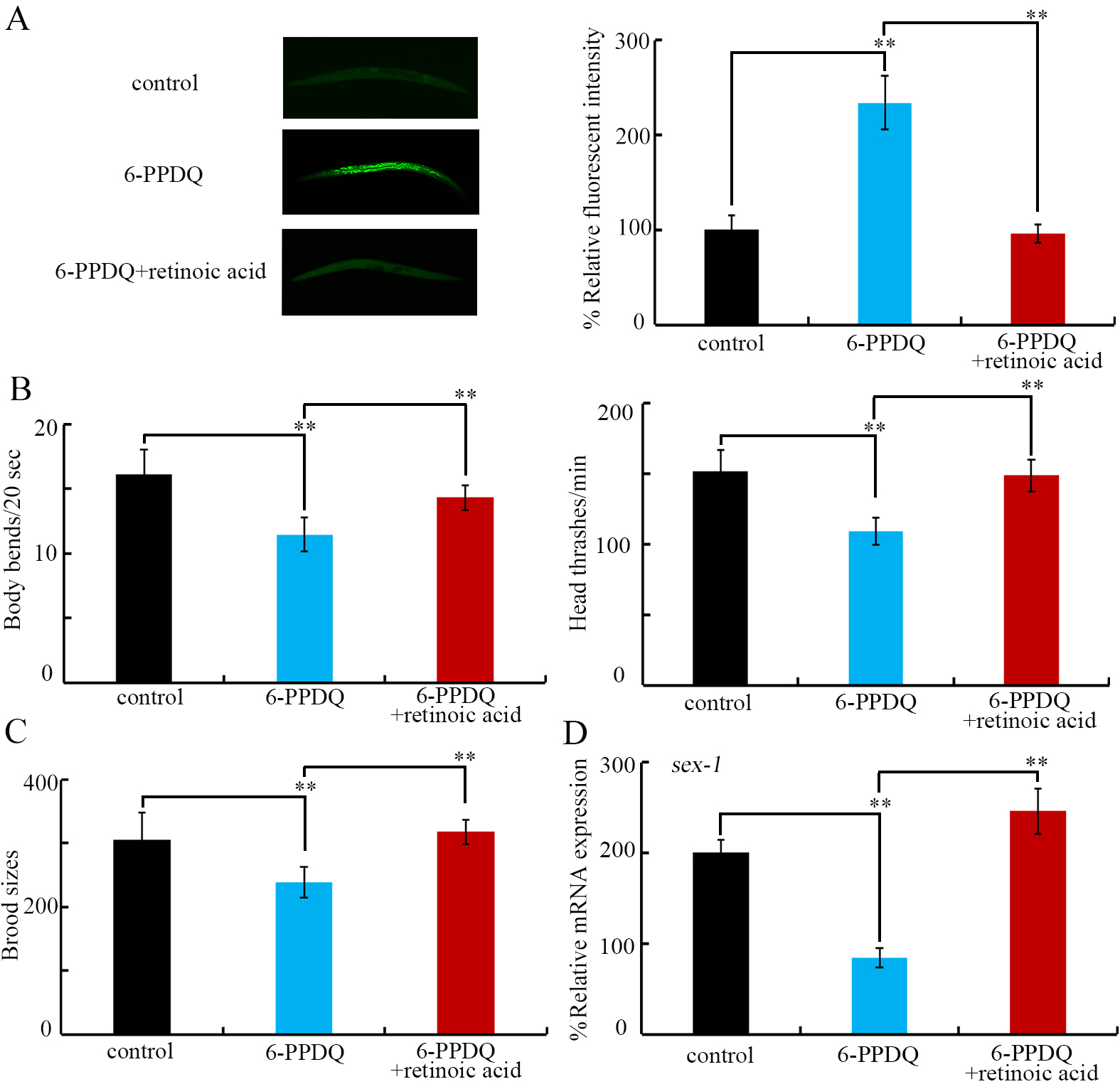 6-PPD quinone-inhibited retinoic acid synthesis mediates toxicity through feedback loop between ALH-3/DHS-19-SEX-1 axis and intestinal signals in <i>Caenorhabditis elegans</i>