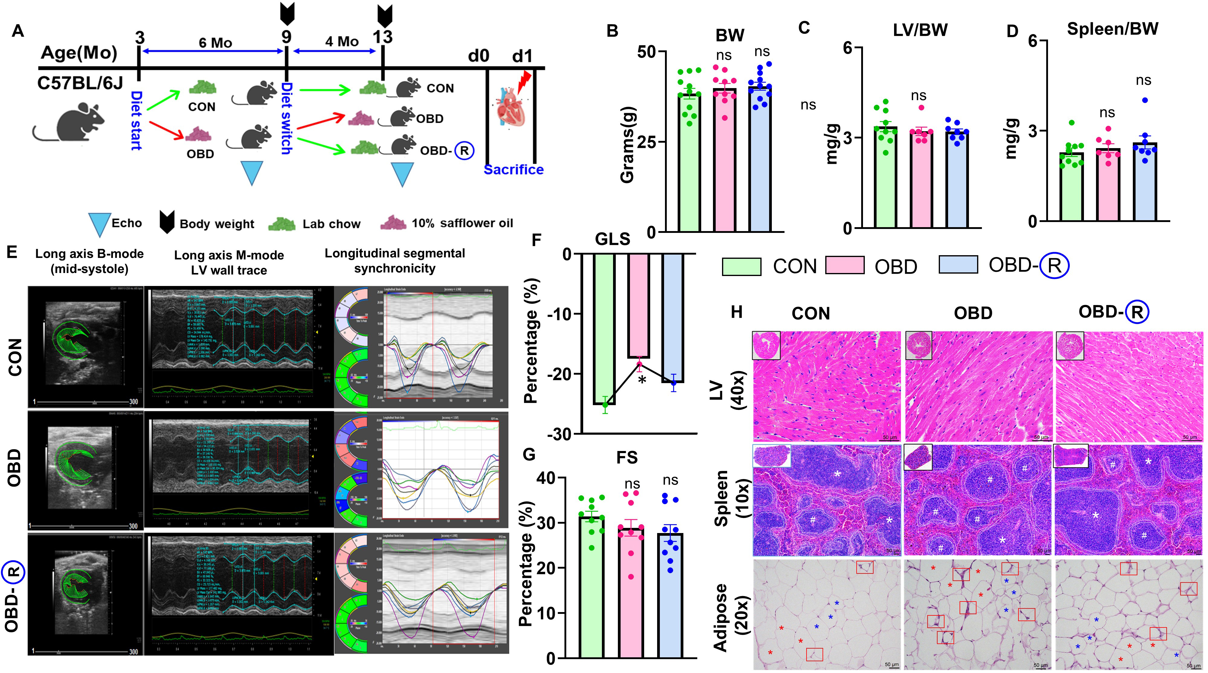 Reversing an obesogenic diet to control diet partially rescues pro-inflammatory lipid-immune memory in splenocardiac aging