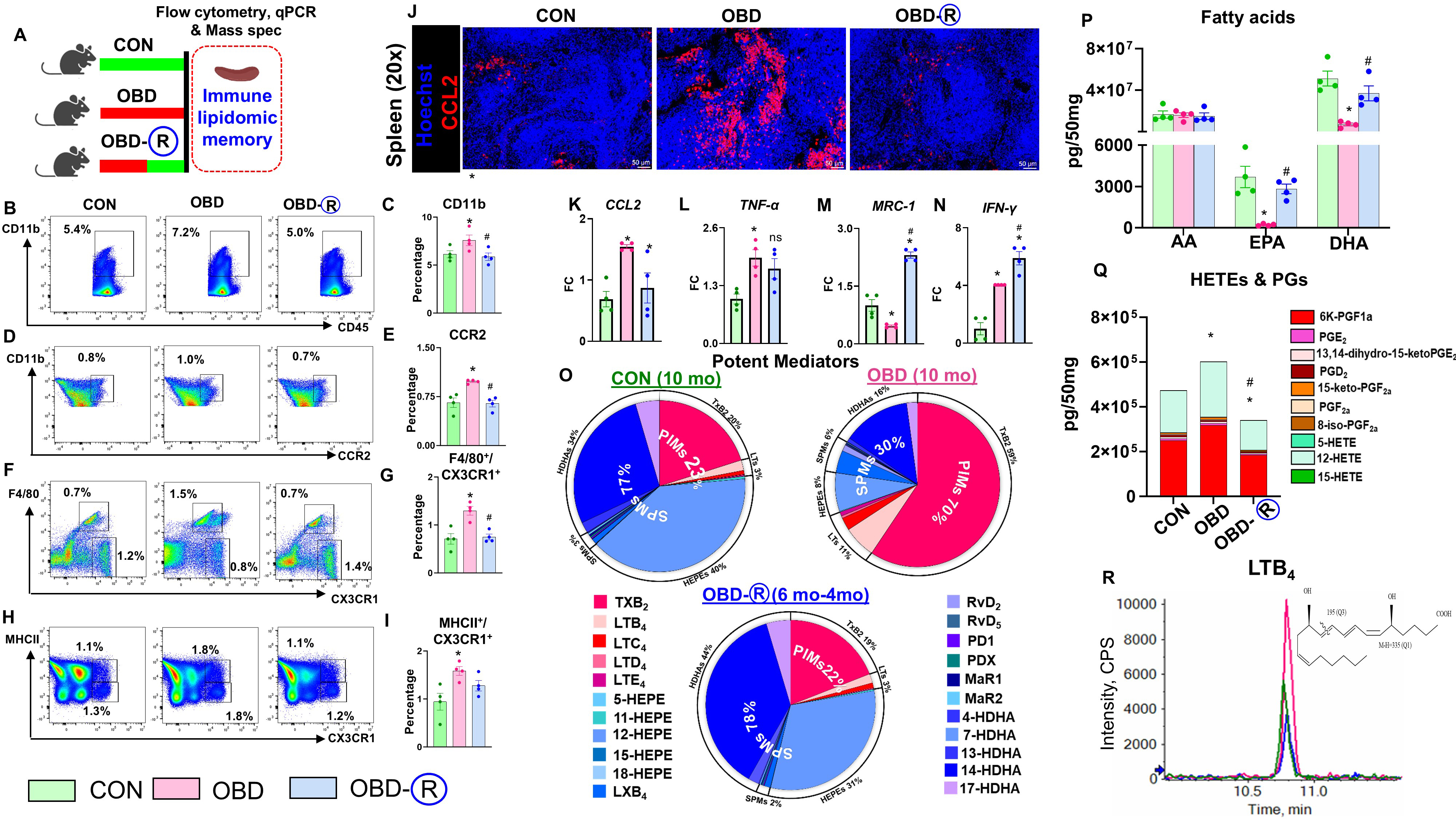 Reversing an obesogenic diet to control diet partially rescues pro-inflammatory lipid-immune memory in splenocardiac aging