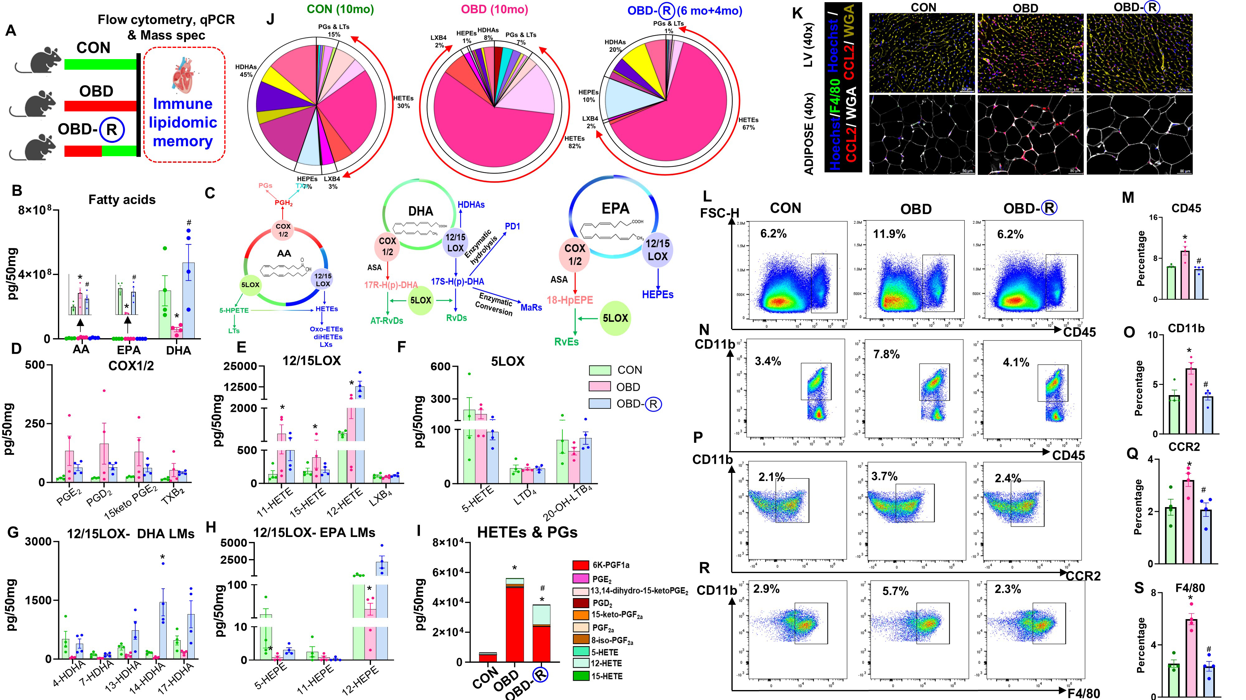 Reversing an obesogenic diet to control diet partially rescues pro-inflammatory lipid-immune memory in splenocardiac aging
