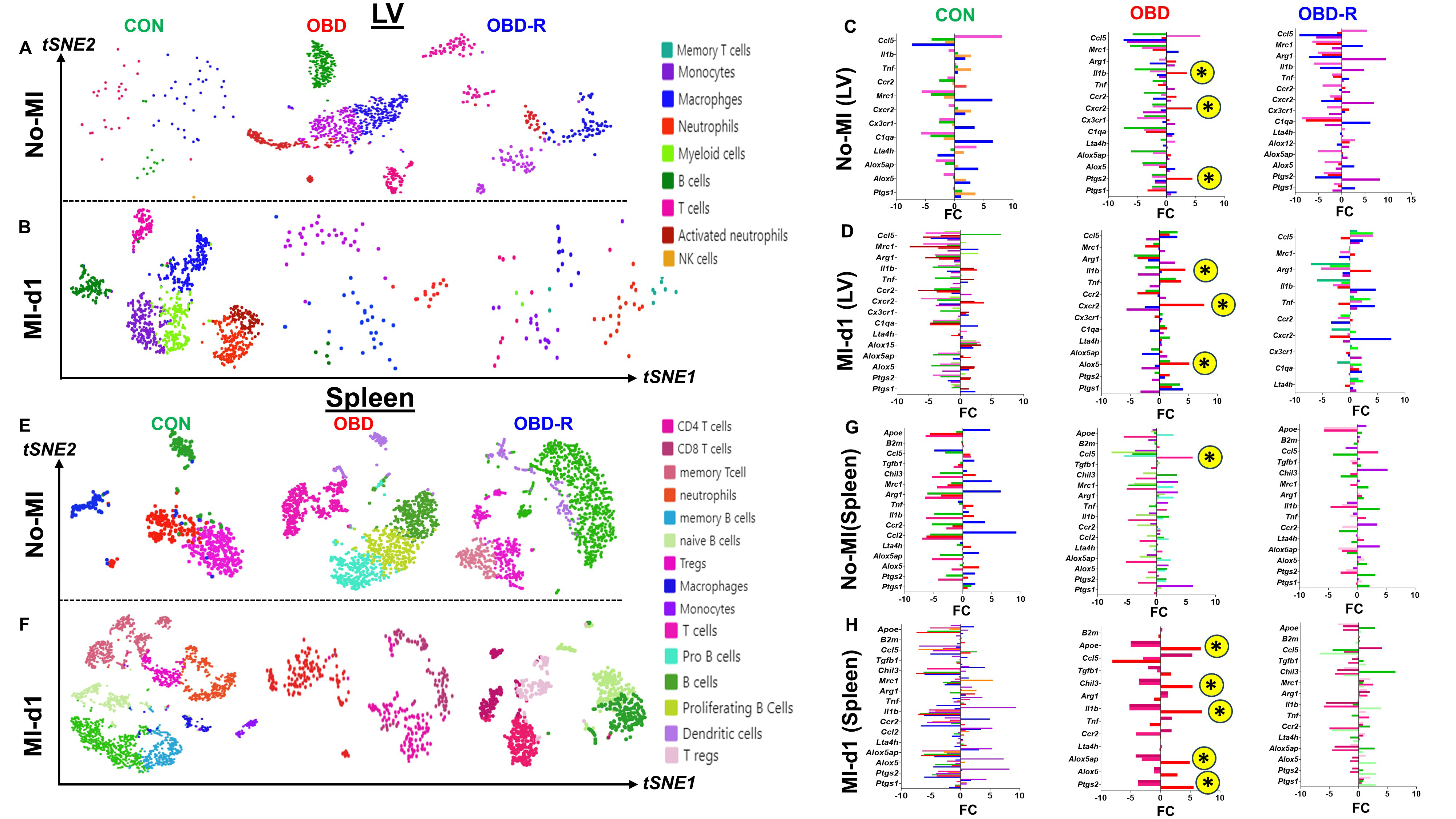 Reversing an obesogenic diet to control diet partially rescues pro-inflammatory lipid-immune memory in splenocardiac aging