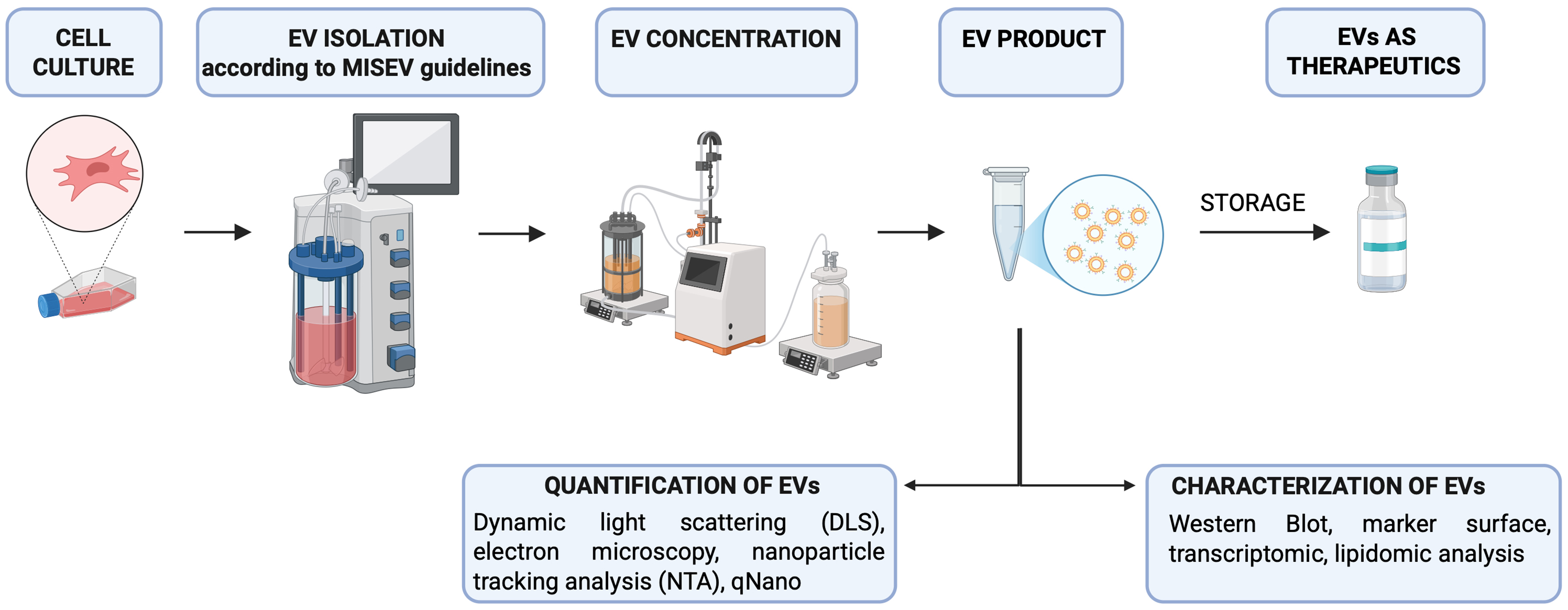 Overview of extracellular vesicles as biomarkers and therapeutic tools in pediatric diseases: focus on the gut-lung axis