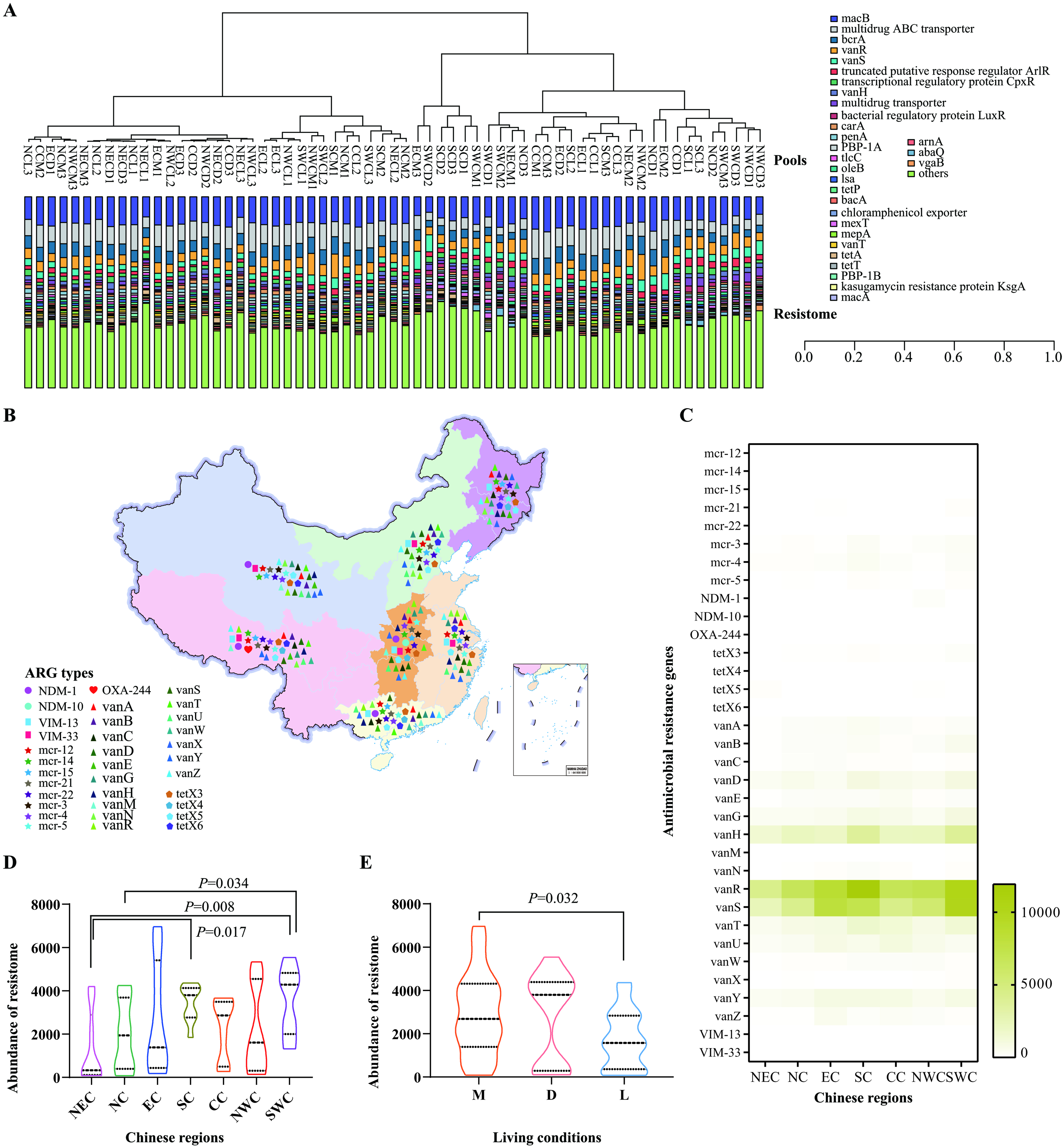 Profiling the composition of resistome and bacteriome in the upper respiratory tract of domestic cats with respiratory signs in China