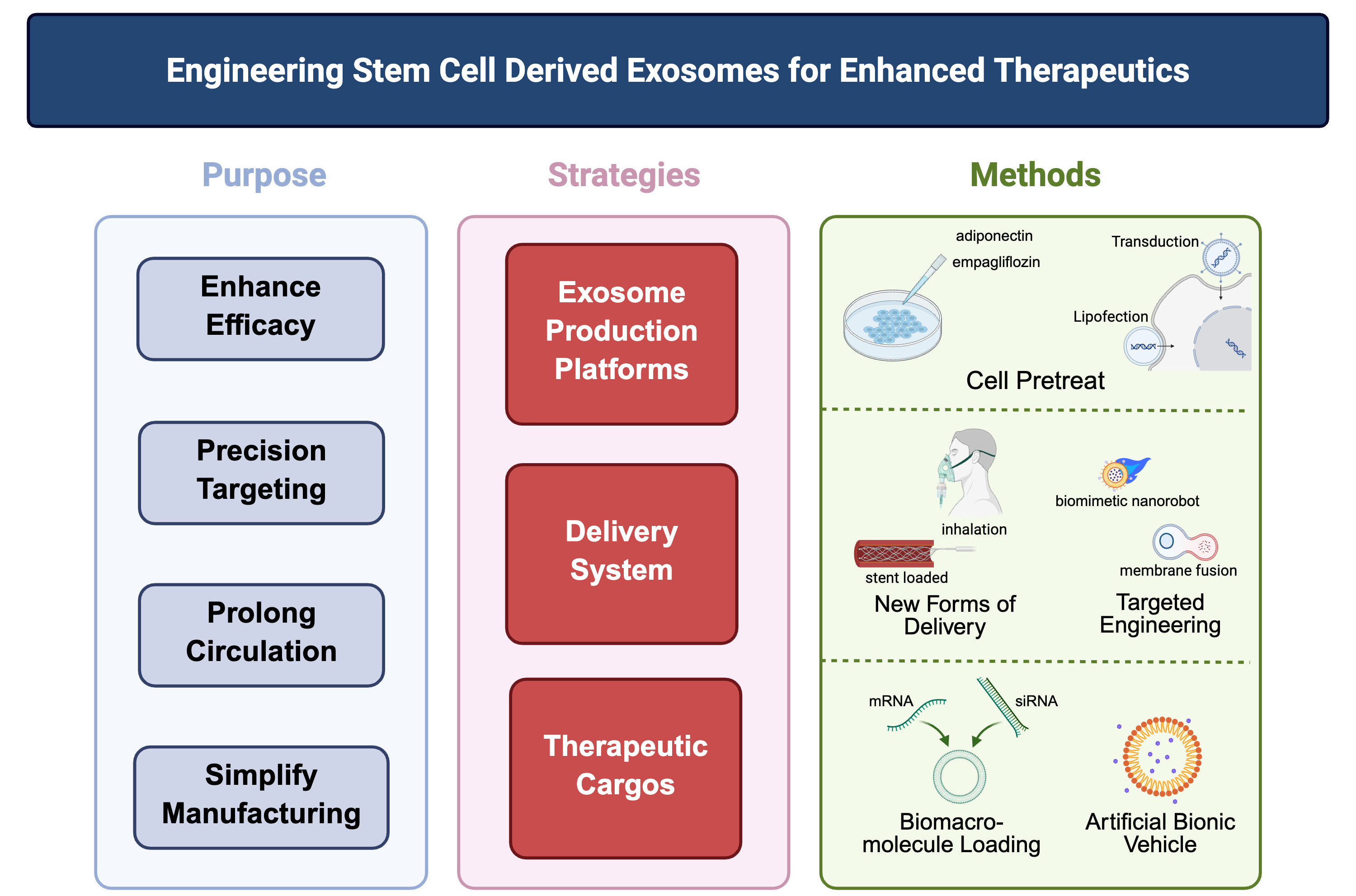 Engineered stem cells and exosomes: novel atherosclerosis therapy