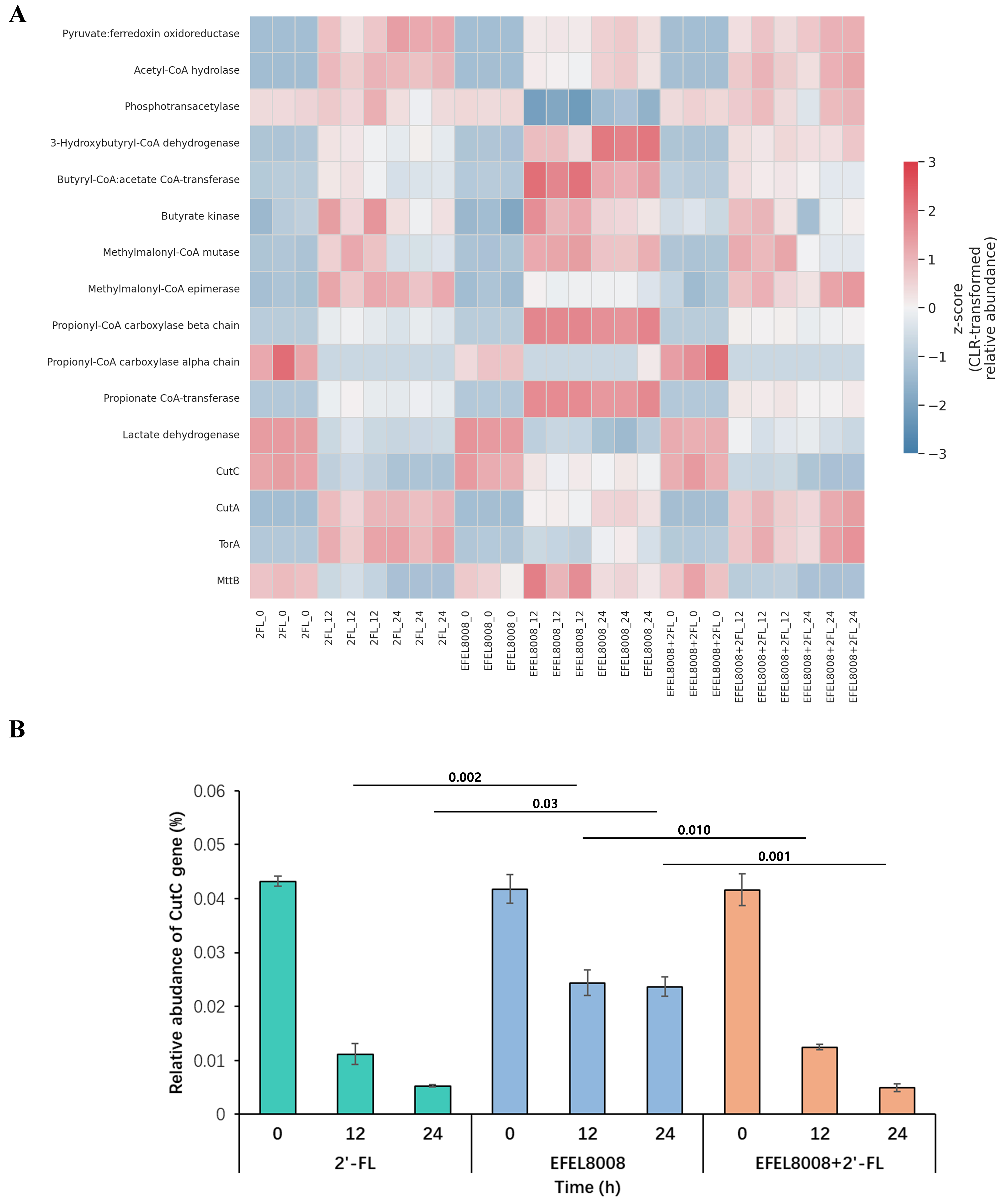 Synbiotic modulation of adult gut microbiome by 2′-fucosyllactose and <i>Bifidobacterium longum</i> subsp. <i>infantis</i> EFEL8008