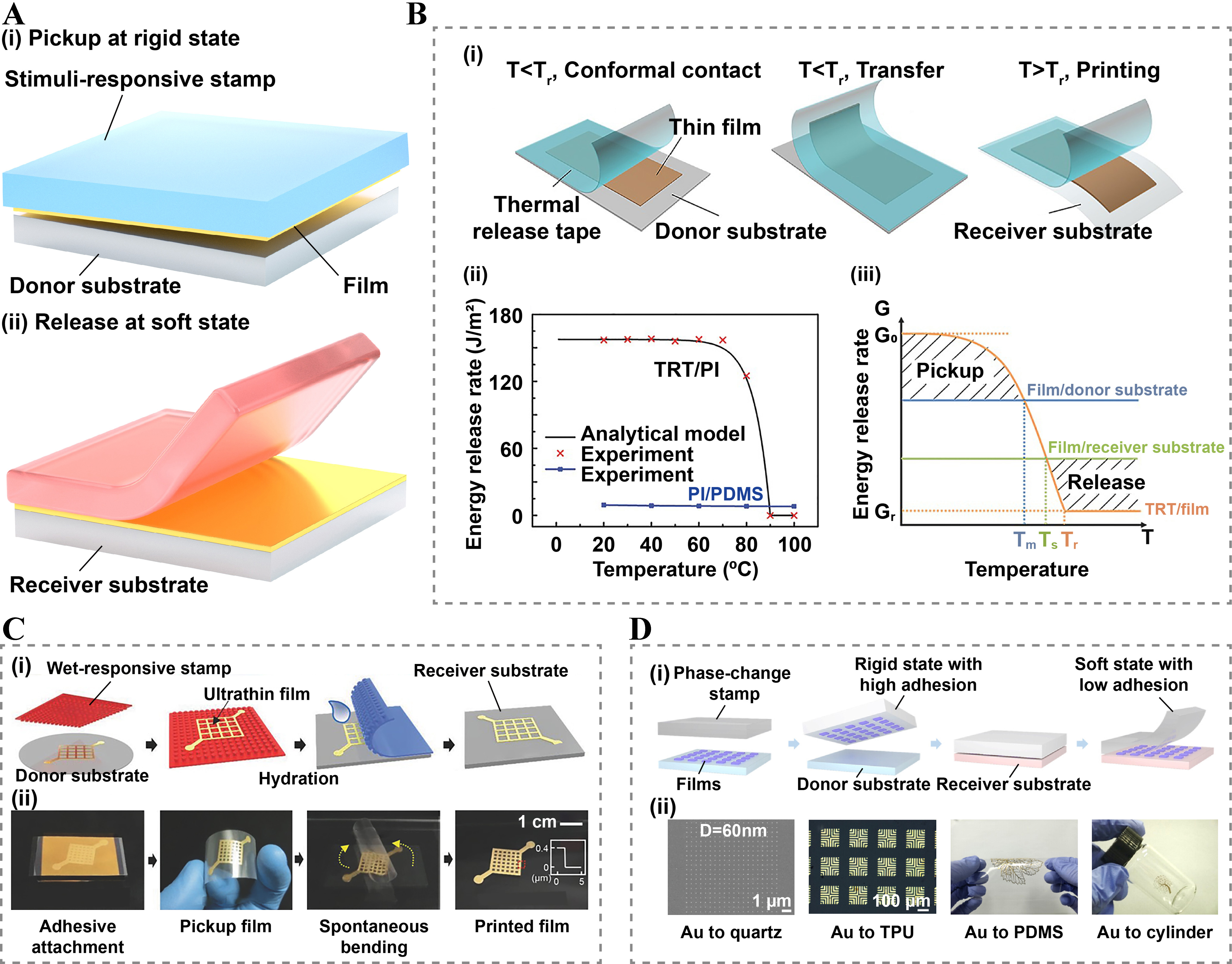 Damage-free dry transfer printing of ultrathin films with on-demand interfacial adhesion: principles and applications