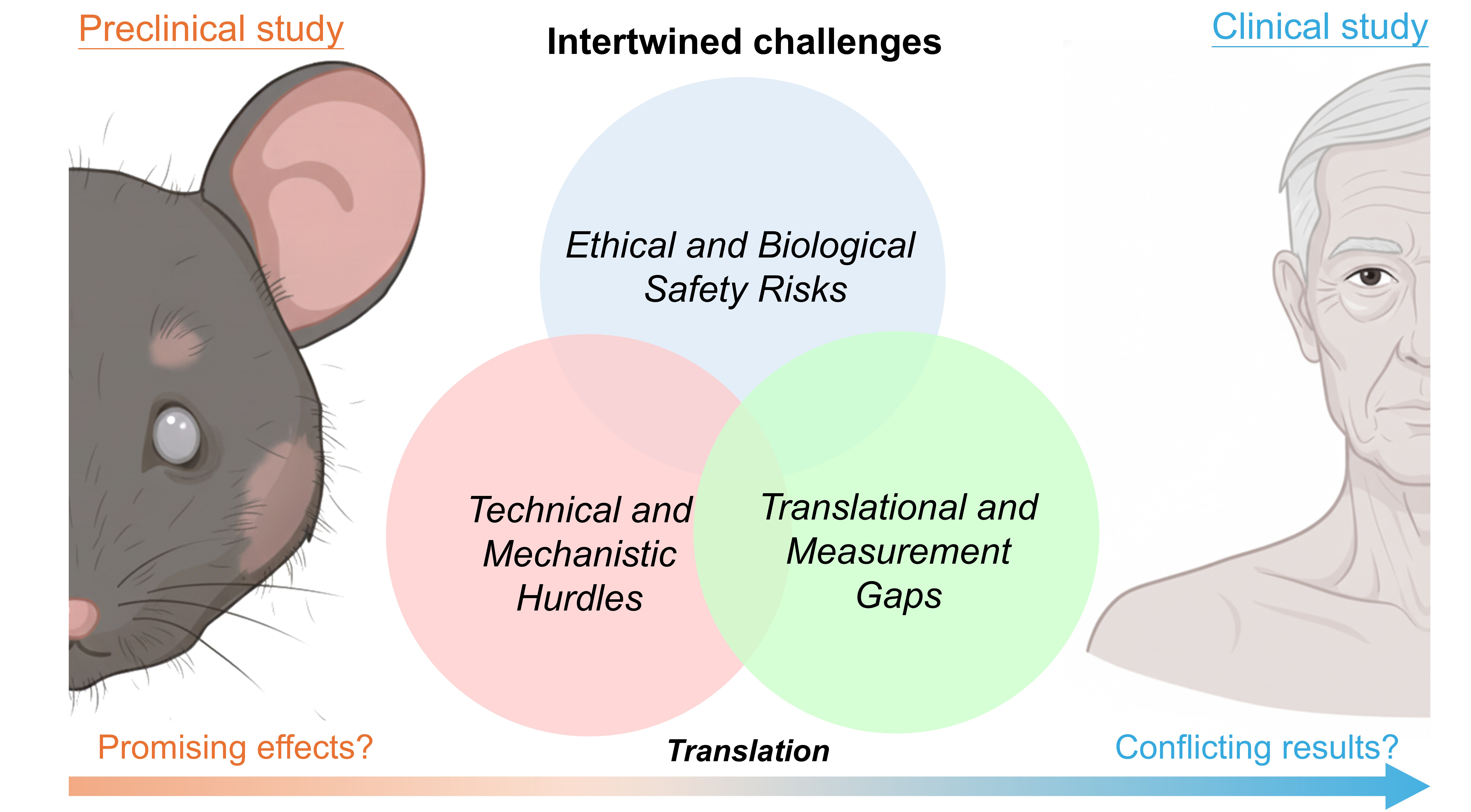 The “young-to-aged” paradigm: fantasy or feasible strategy for cardiovascular and systemic rejuvenation?