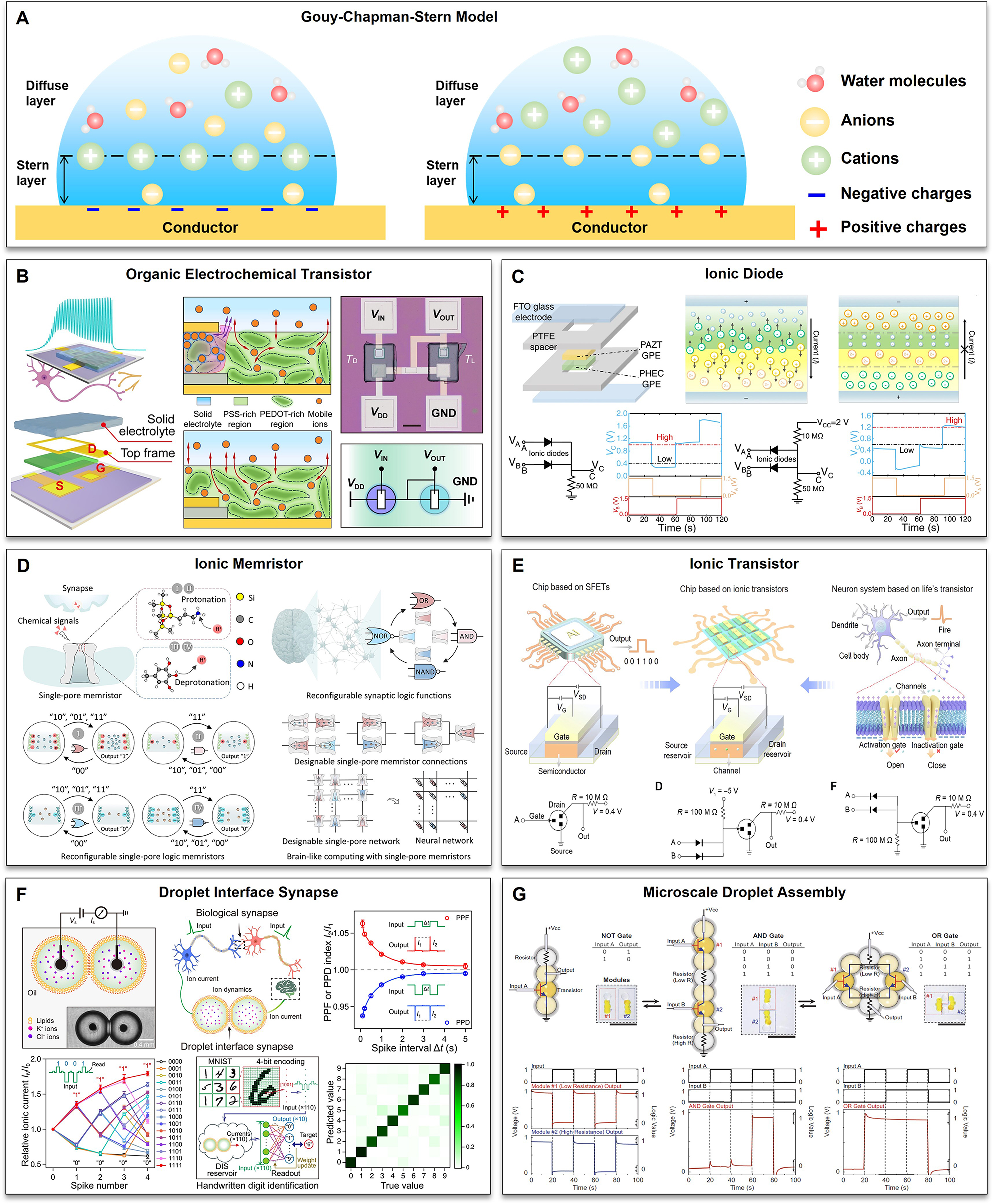 Iontronic logic control driven by dynamic electrical double layer regulation