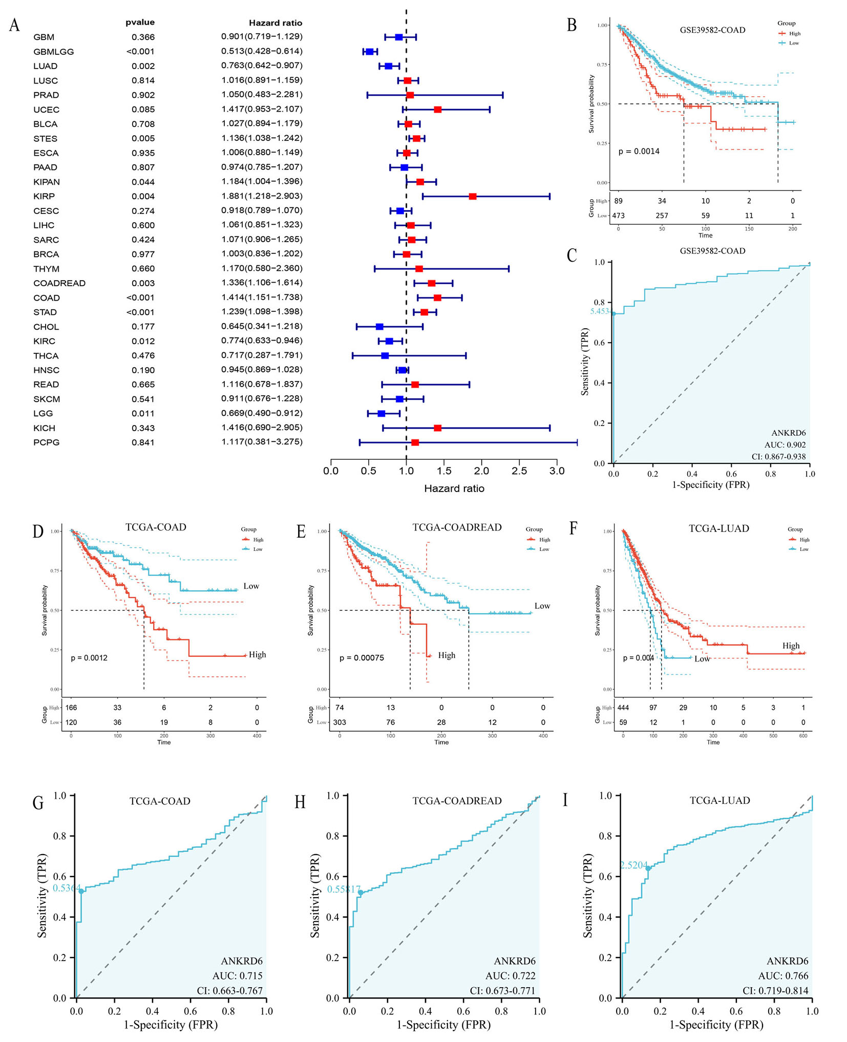 Differential expression and prognostic significance of ANKRD6 in colon adenocarcinoma: a pan-cancer analysis and pathway-specific investigation