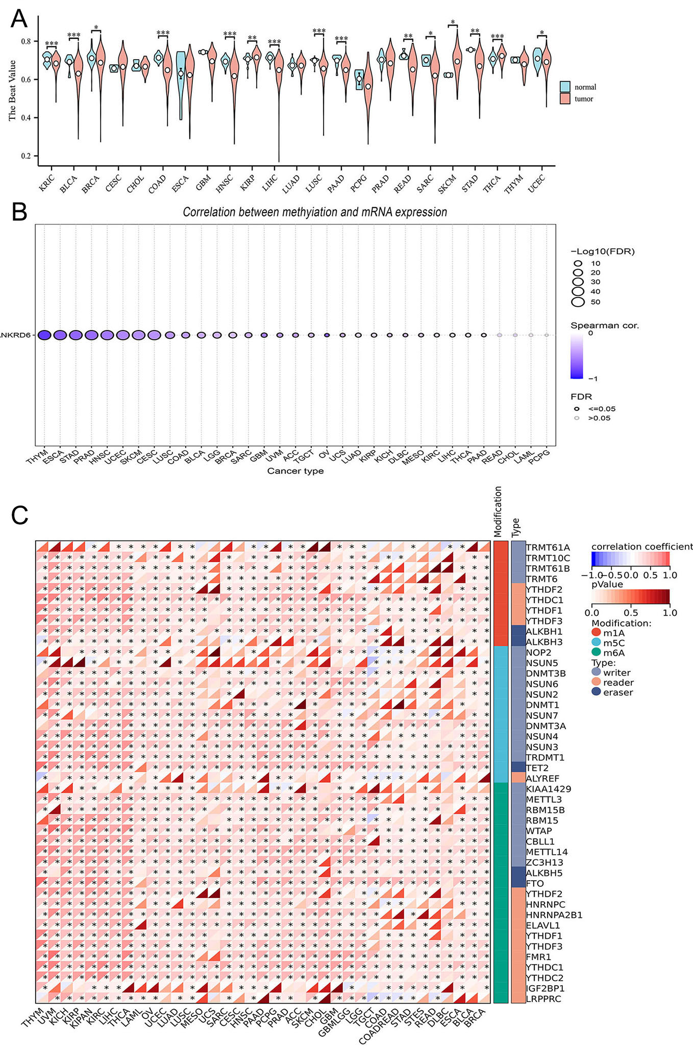 Differential expression and prognostic significance of ANKRD6 in colon adenocarcinoma: a pan-cancer analysis and pathway-specific investigation