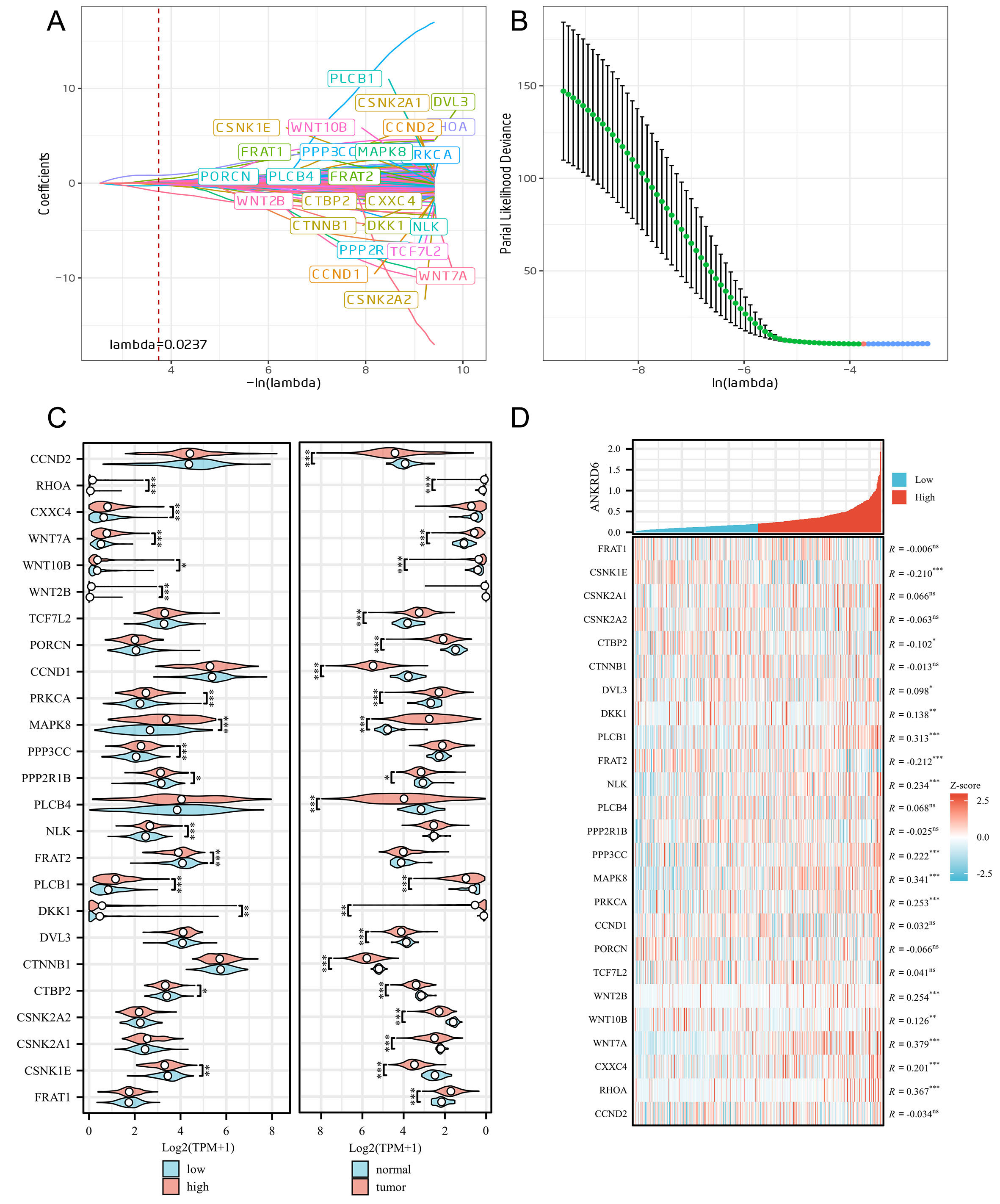 Differential expression and prognostic significance of ANKRD6 in colon adenocarcinoma: a pan-cancer analysis and pathway-specific investigation