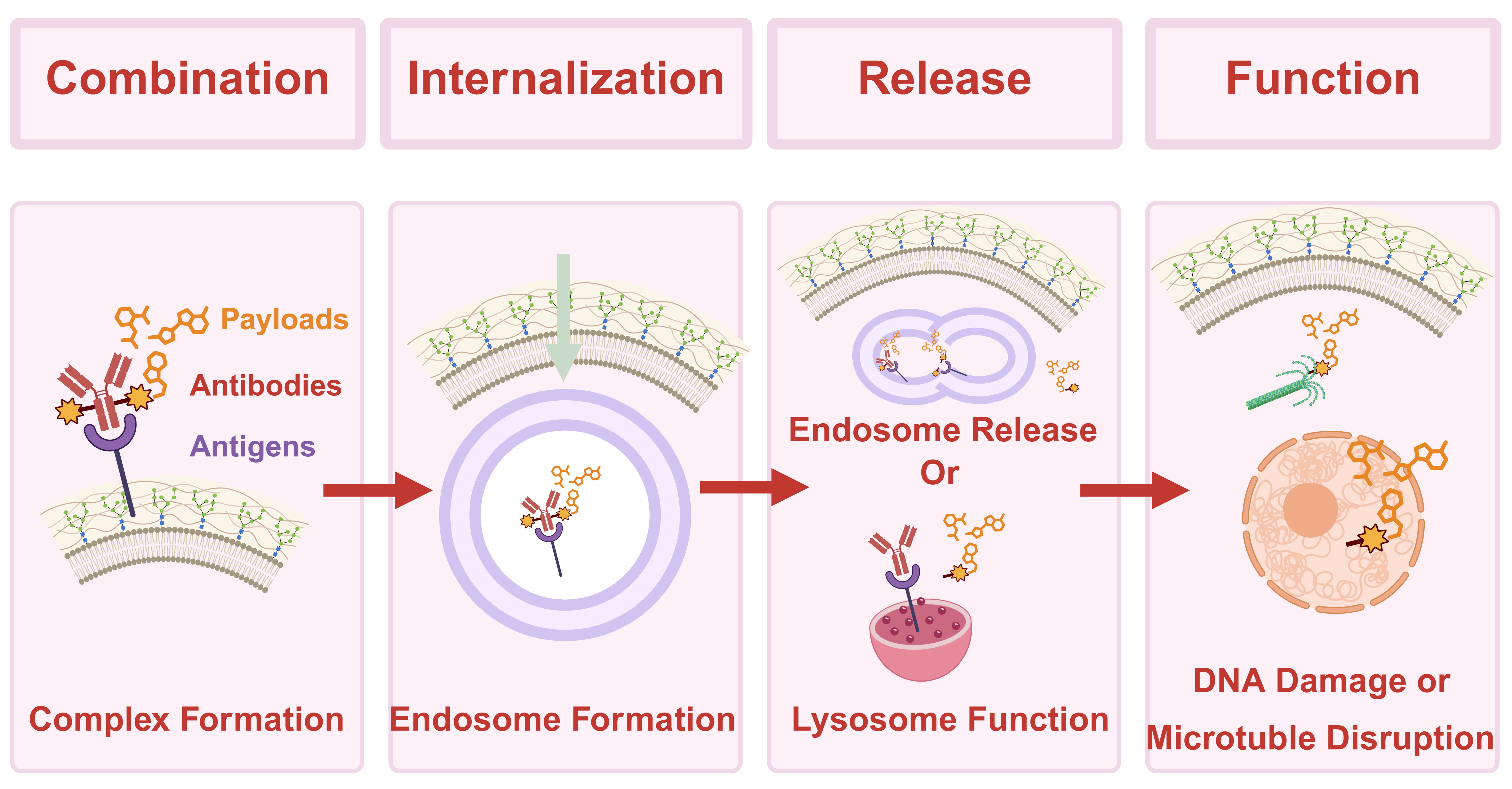 Mechanisms of resistance to antibody-drug conjugates in cancer therapy: molecular basis and therapeutic strategies