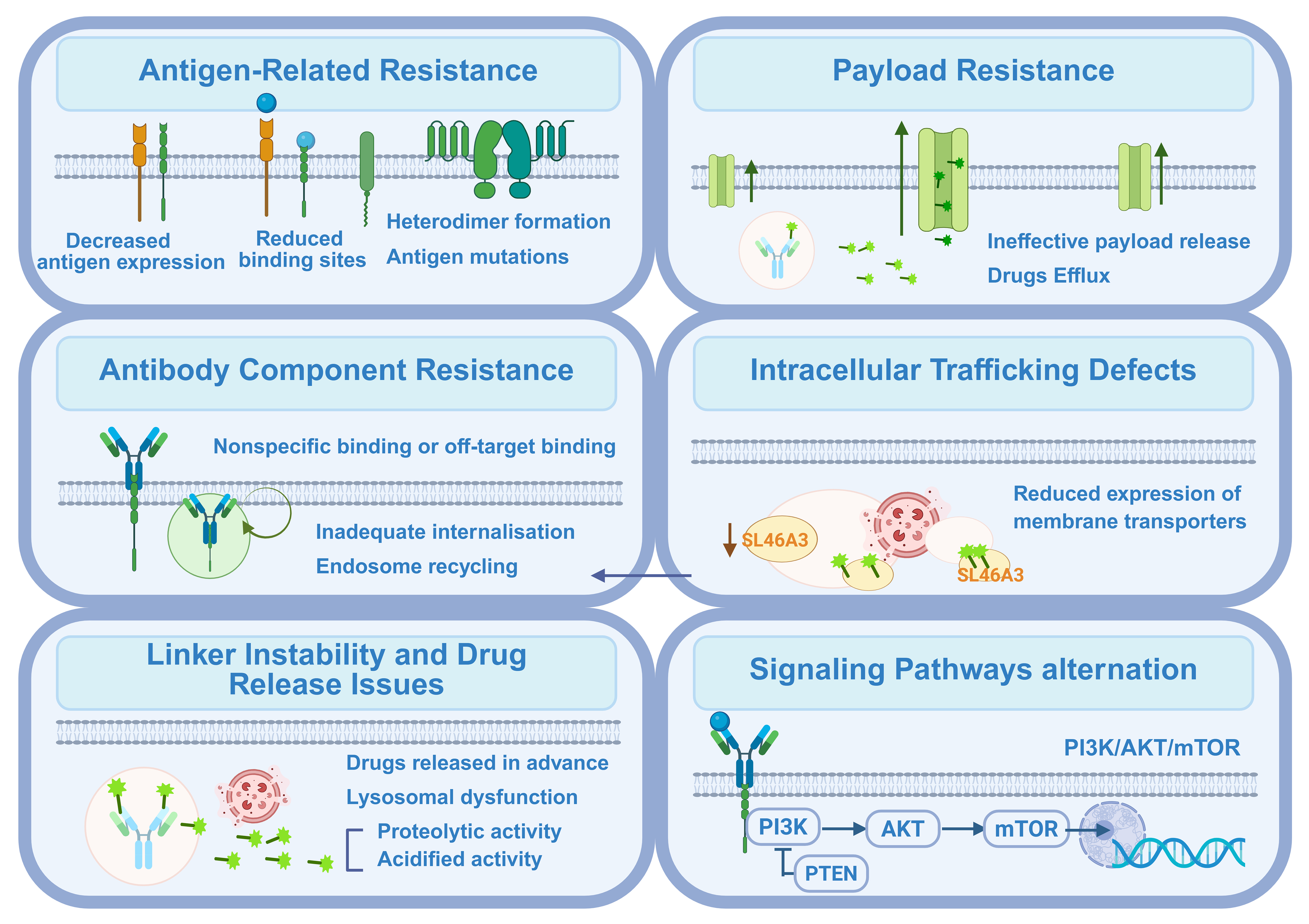 Mechanisms of resistance to antibody-drug conjugates in cancer therapy: molecular basis and therapeutic strategies