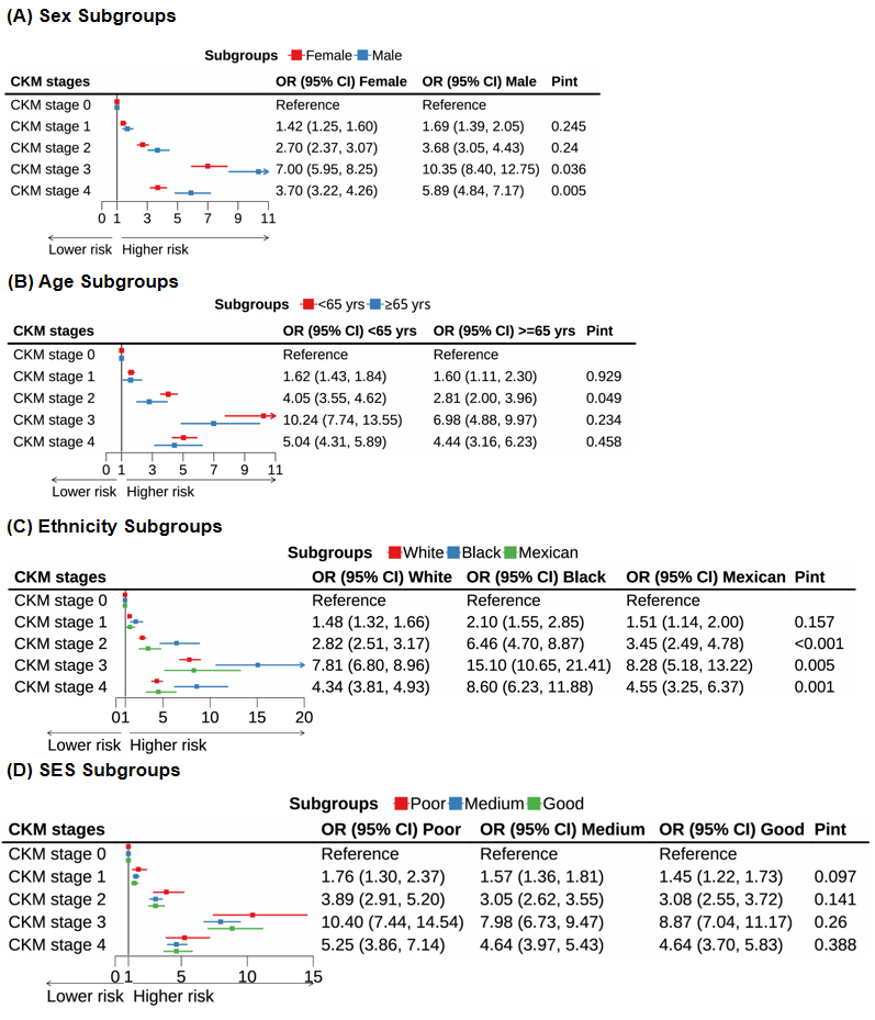 Associations of estimated pulse wave velocity with cardiovascular-kidney-metabolic syndrome in U.S. adults: the role of sex and ethnicity (NHANES 1999-2018)