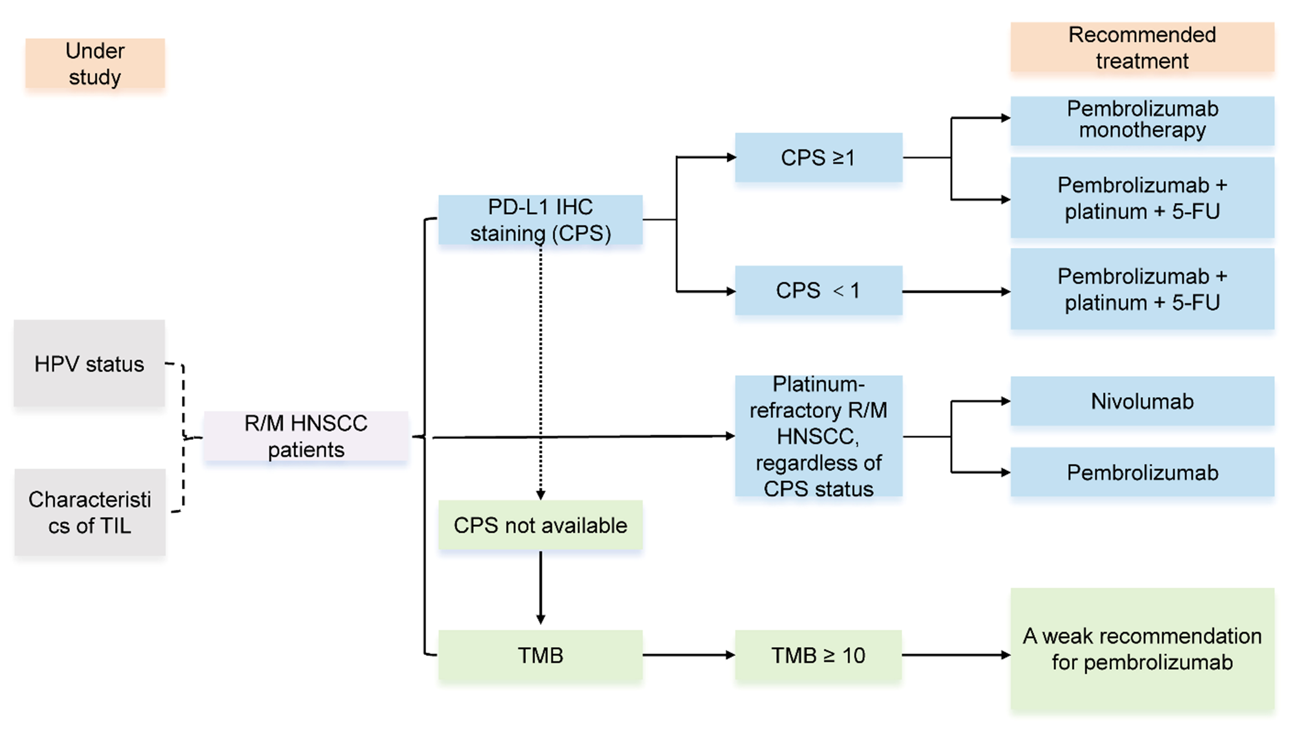 Unraveling resistance to immune checkpoint inhibitors in HNSCC: from mechanisms to combination therapies
