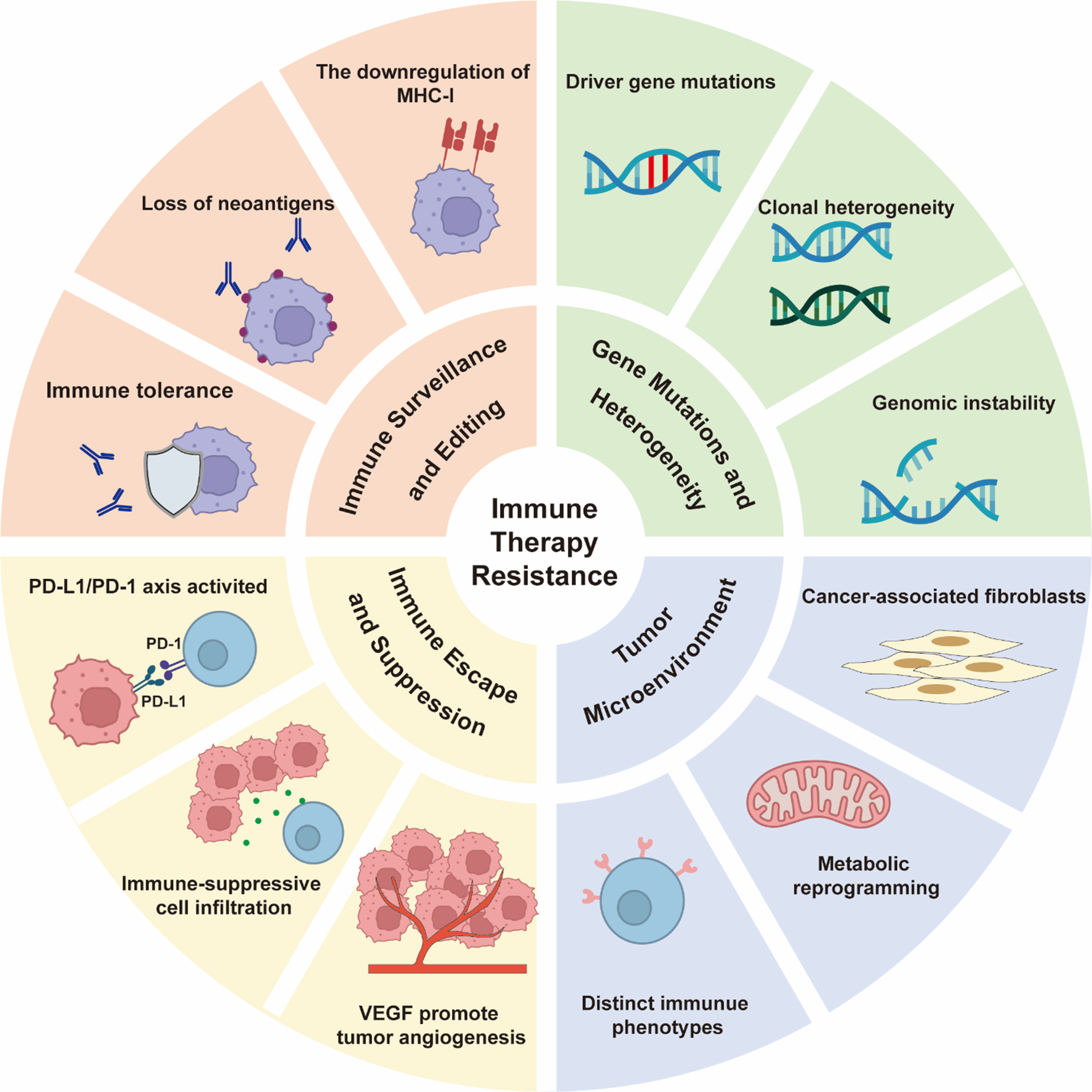 Unraveling resistance to immune checkpoint inhibitors in HNSCC: from mechanisms to combination therapies