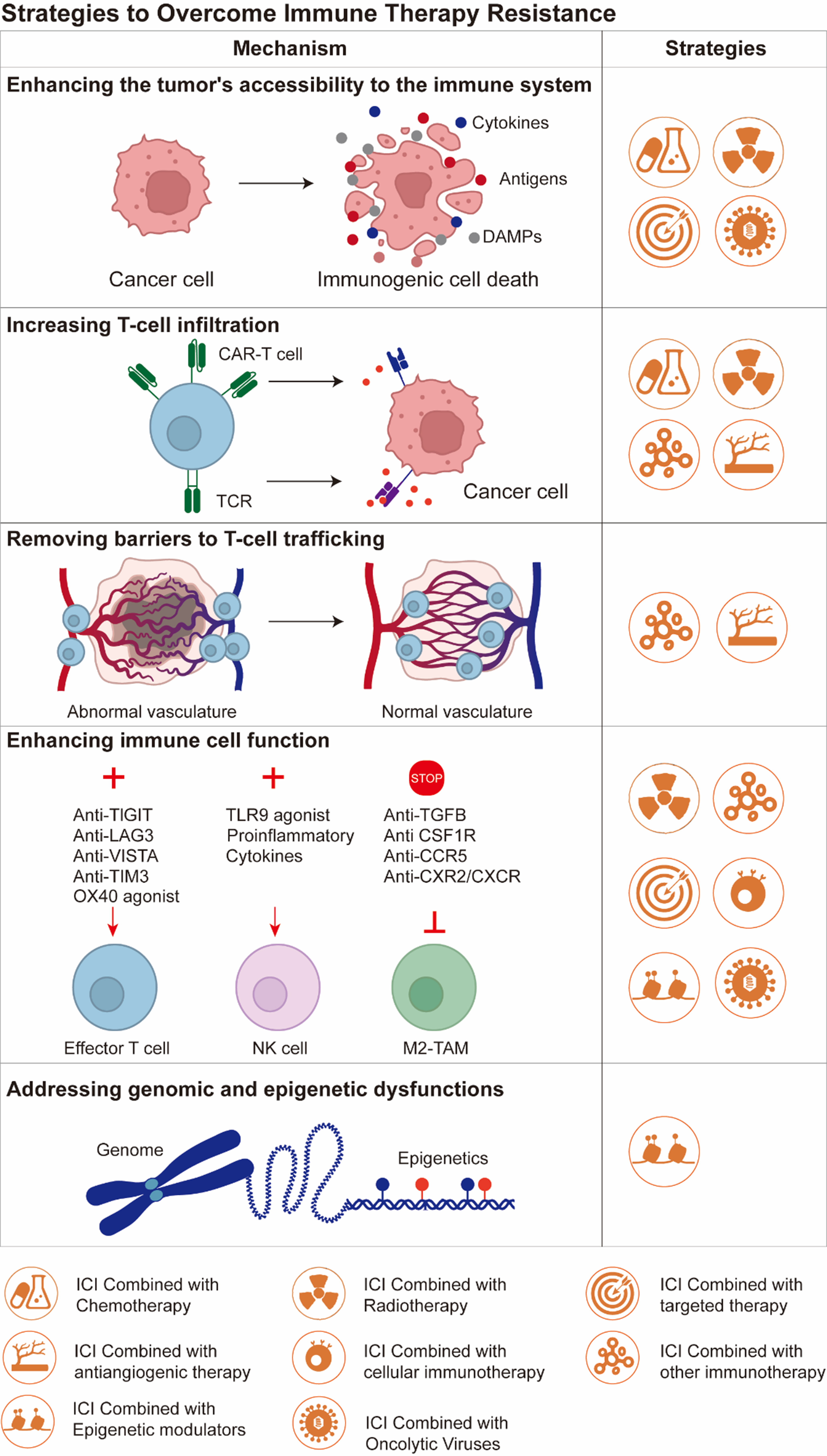 Unraveling resistance to immune checkpoint inhibitors in HNSCC: from mechanisms to combination therapies