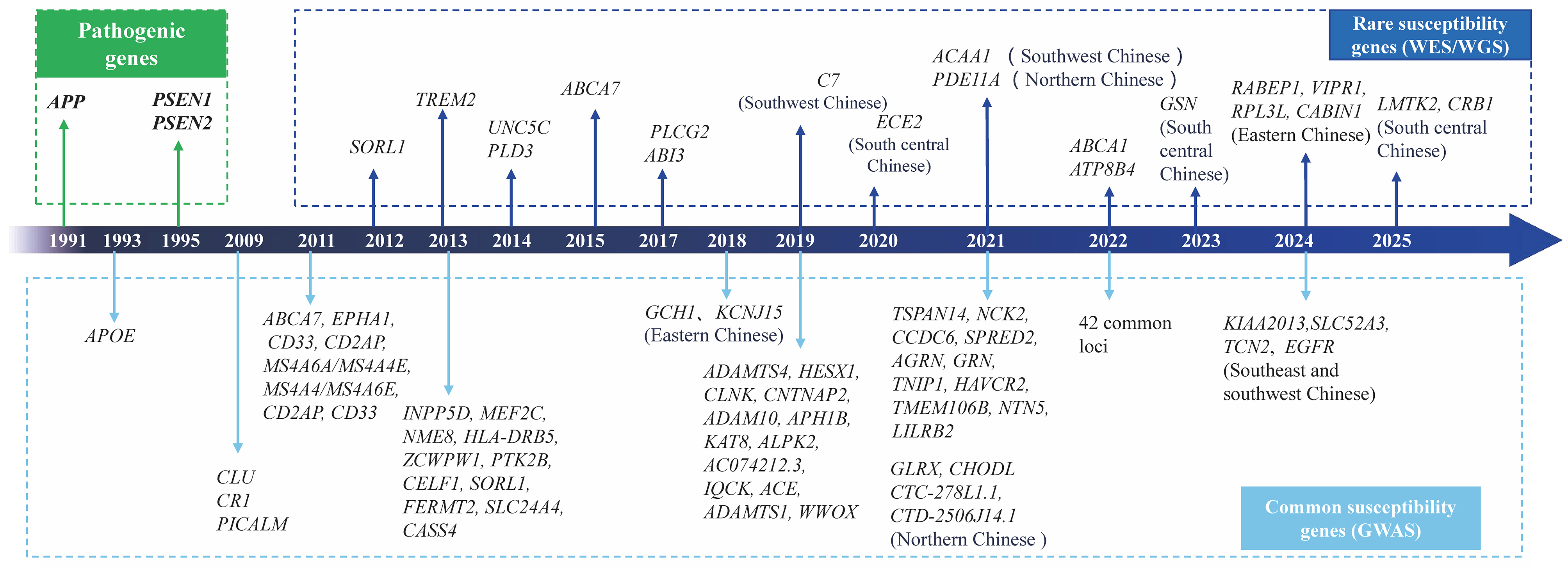 Novel insight into genetic impacts on neurodegenerative dementia