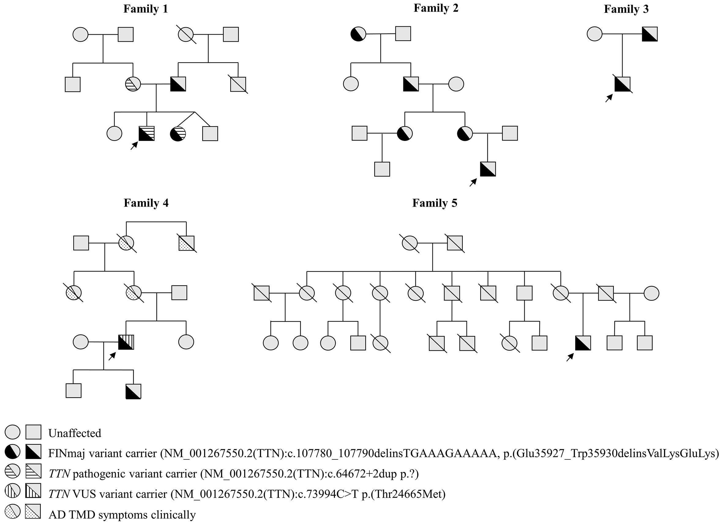 Autosomal dominant tibial muscular dystrophy in Estonia