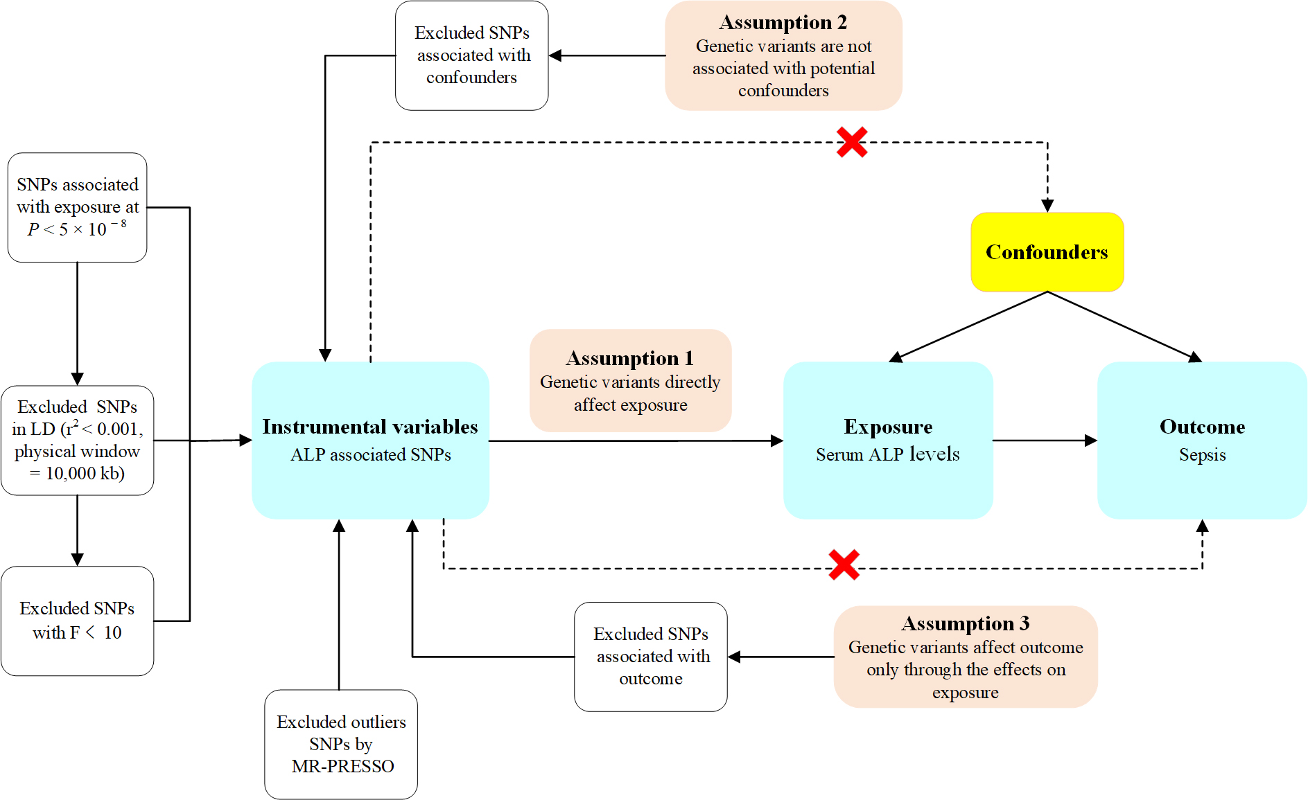 The relationship between serum alkaline phosphatase levels and sepsis: observational and Mendelian randomization studies