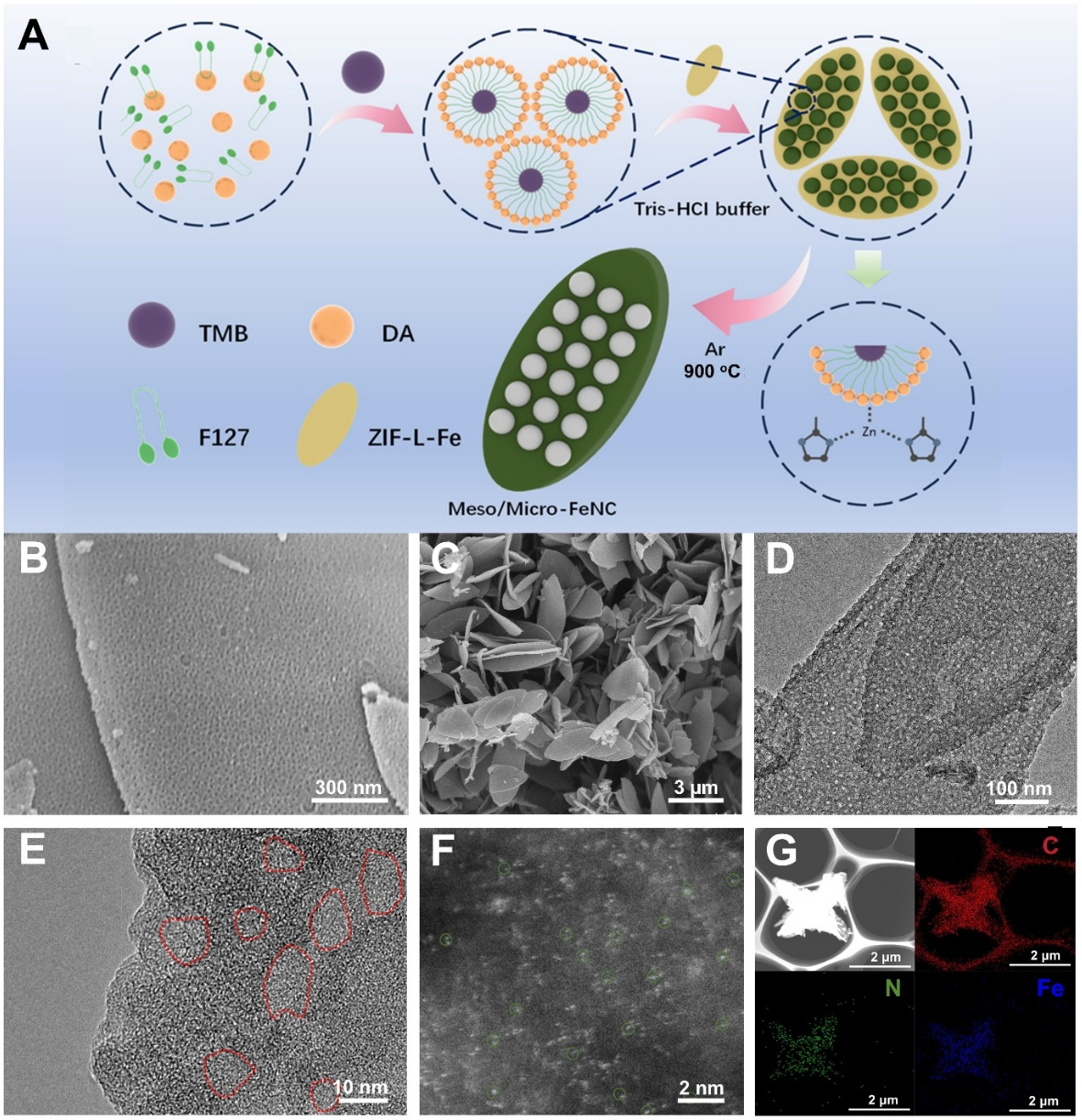 Hierarchically porous two-dimensional Fe/N-codoped carbon nanoleaves for enhanced mass transfer and electrocatalytic oxygen reduction reaction