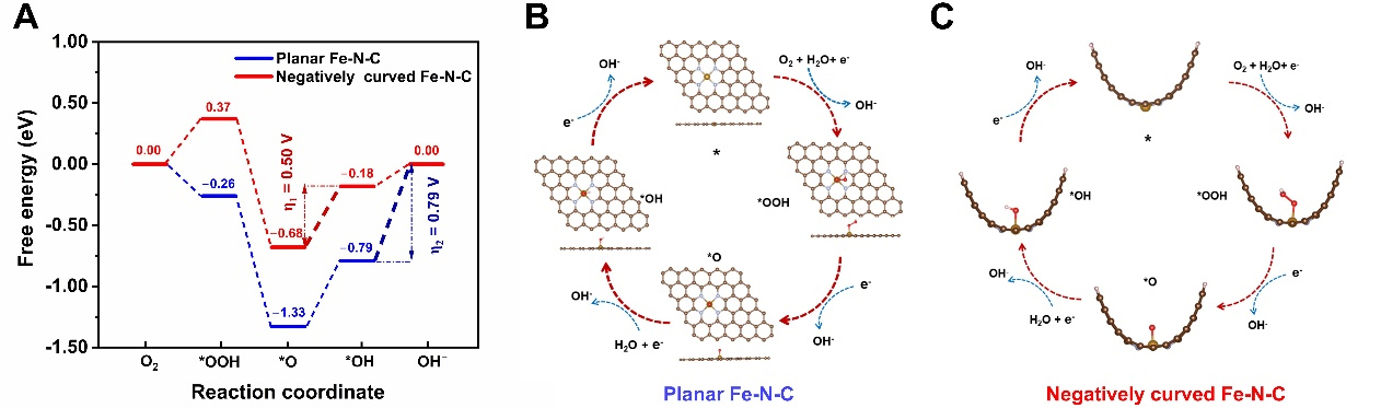 Hierarchically porous two-dimensional Fe/N-codoped carbon nanoleaves for enhanced mass transfer and electrocatalytic oxygen reduction reaction