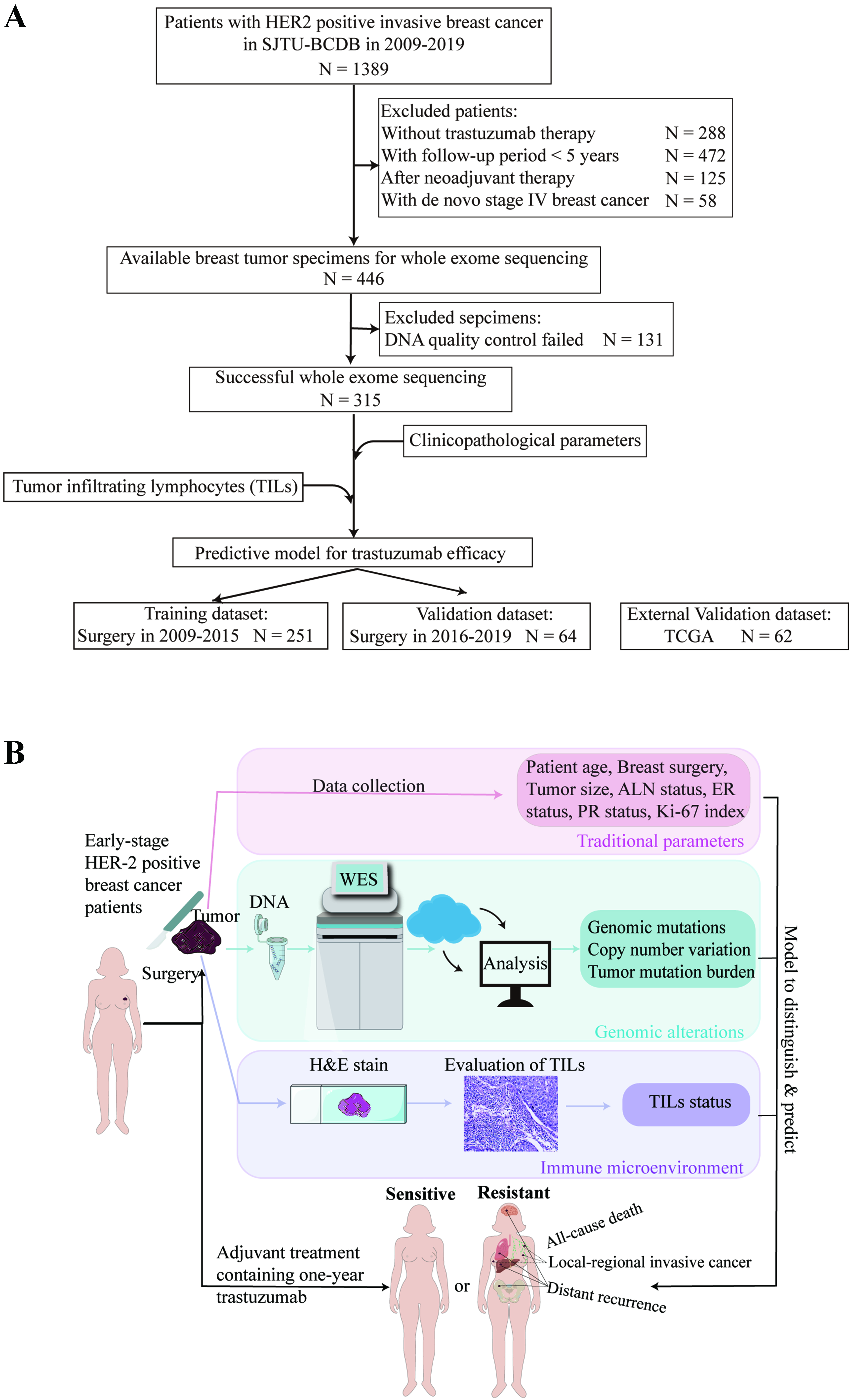 Integrating genomic mutations and tumor-infiltrating lymphocytes improves prediction of response to trastuzumab-based adjuvant therapy in patients with HER2-positive breast cancer