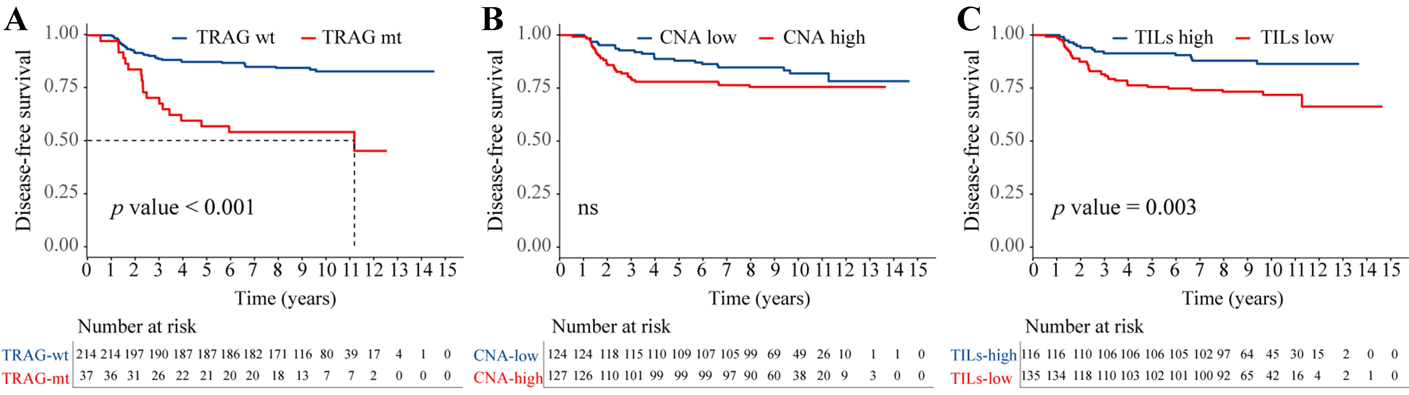 Integrating genomic mutations and tumor-infiltrating lymphocytes improves prediction of response to trastuzumab-based adjuvant therapy in patients with HER2-positive breast cancer
