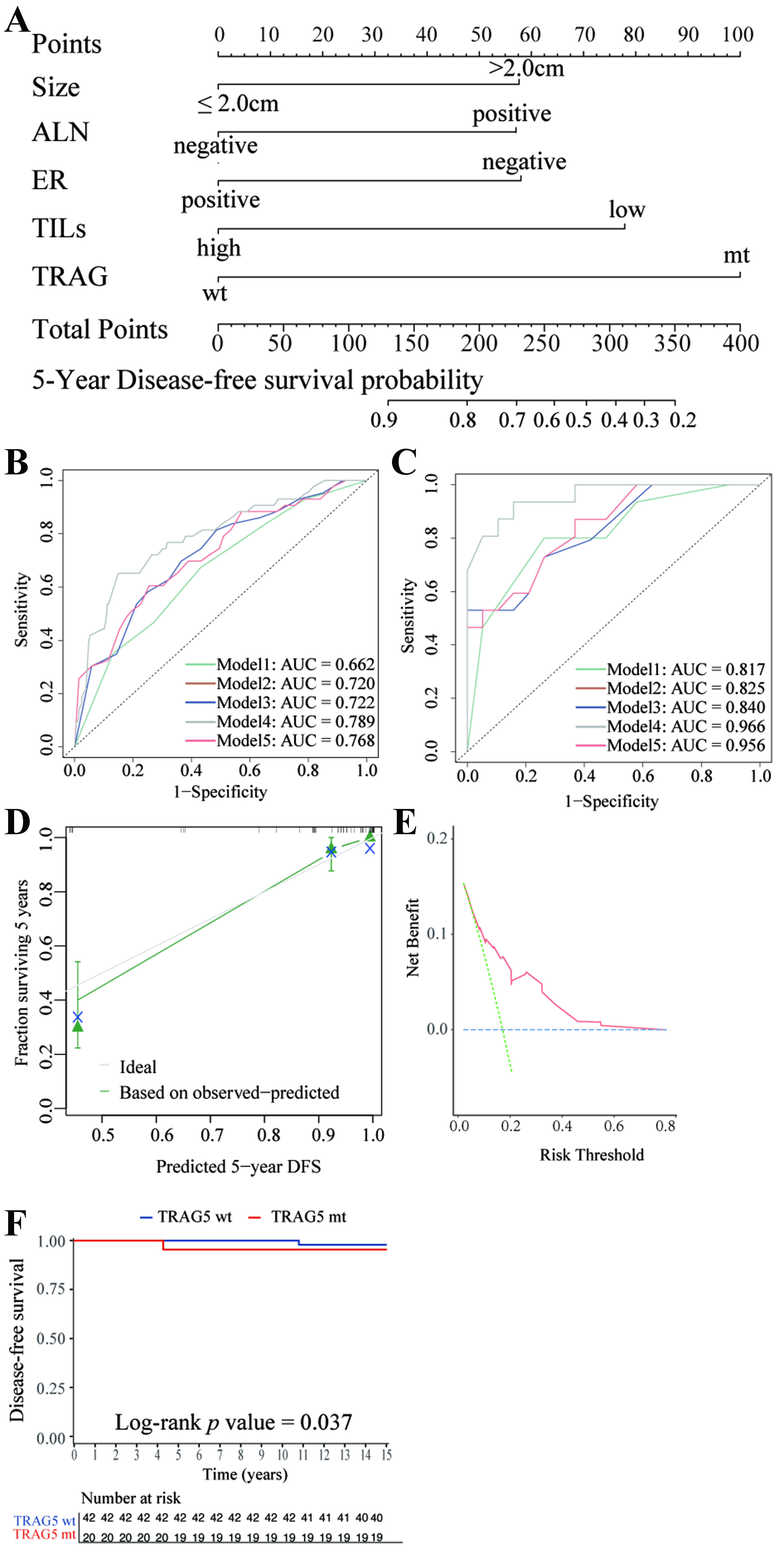 Integrating genomic mutations and tumor-infiltrating lymphocytes improves prediction of response to trastuzumab-based adjuvant therapy in patients with HER2-positive breast cancer