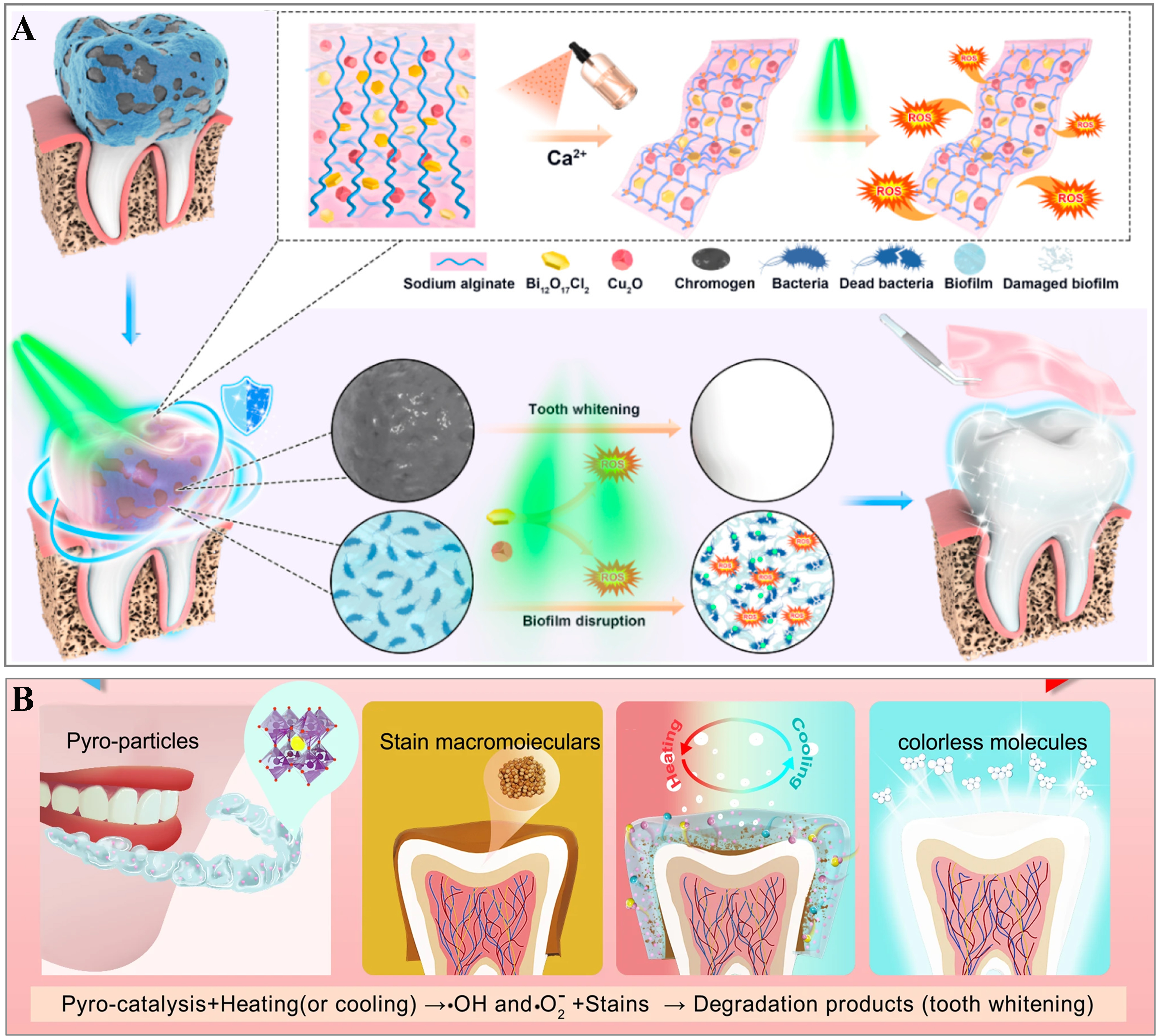 Functional hydrogels for dental disease treatment