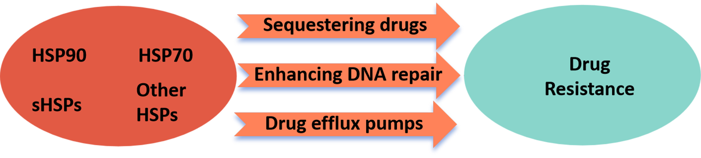 Overcoming cancer drug resistance through small-molecule targeting of HSP90 and HSP70
