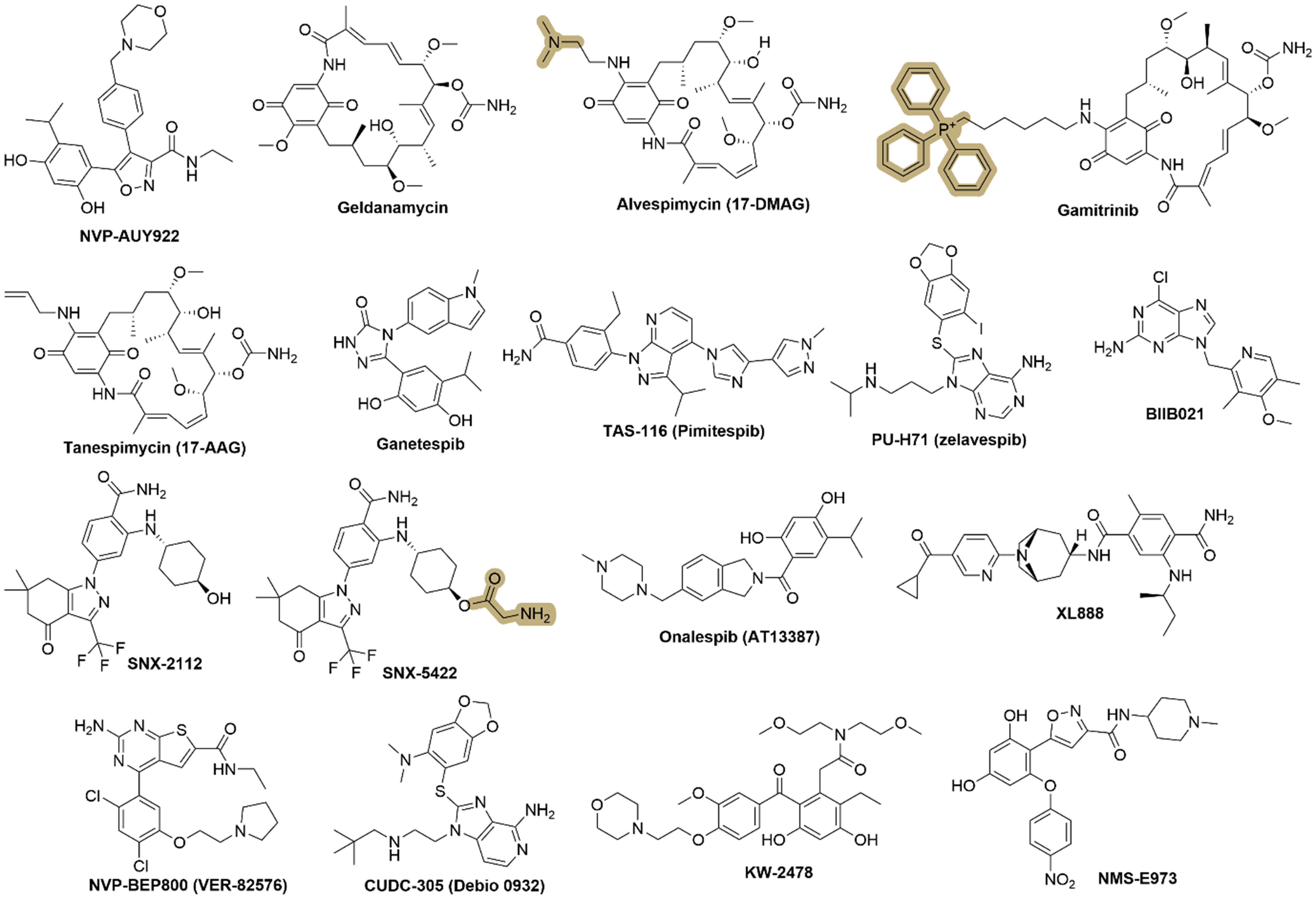 Overcoming cancer drug resistance through small-molecule targeting of HSP90 and HSP70