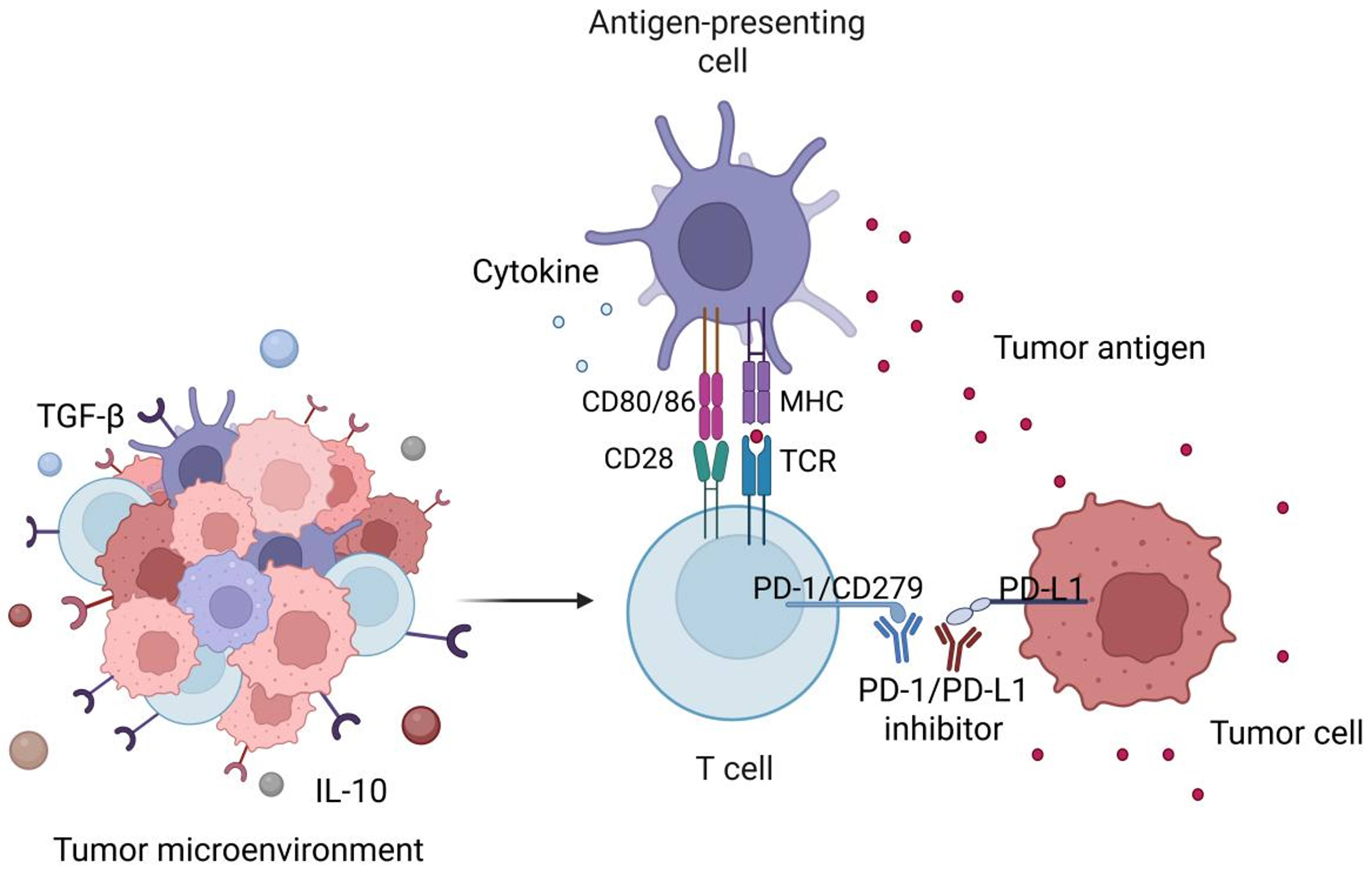 Targeting tumor-draining lymph node to overcome resistance to cancer immunotherapy: an update