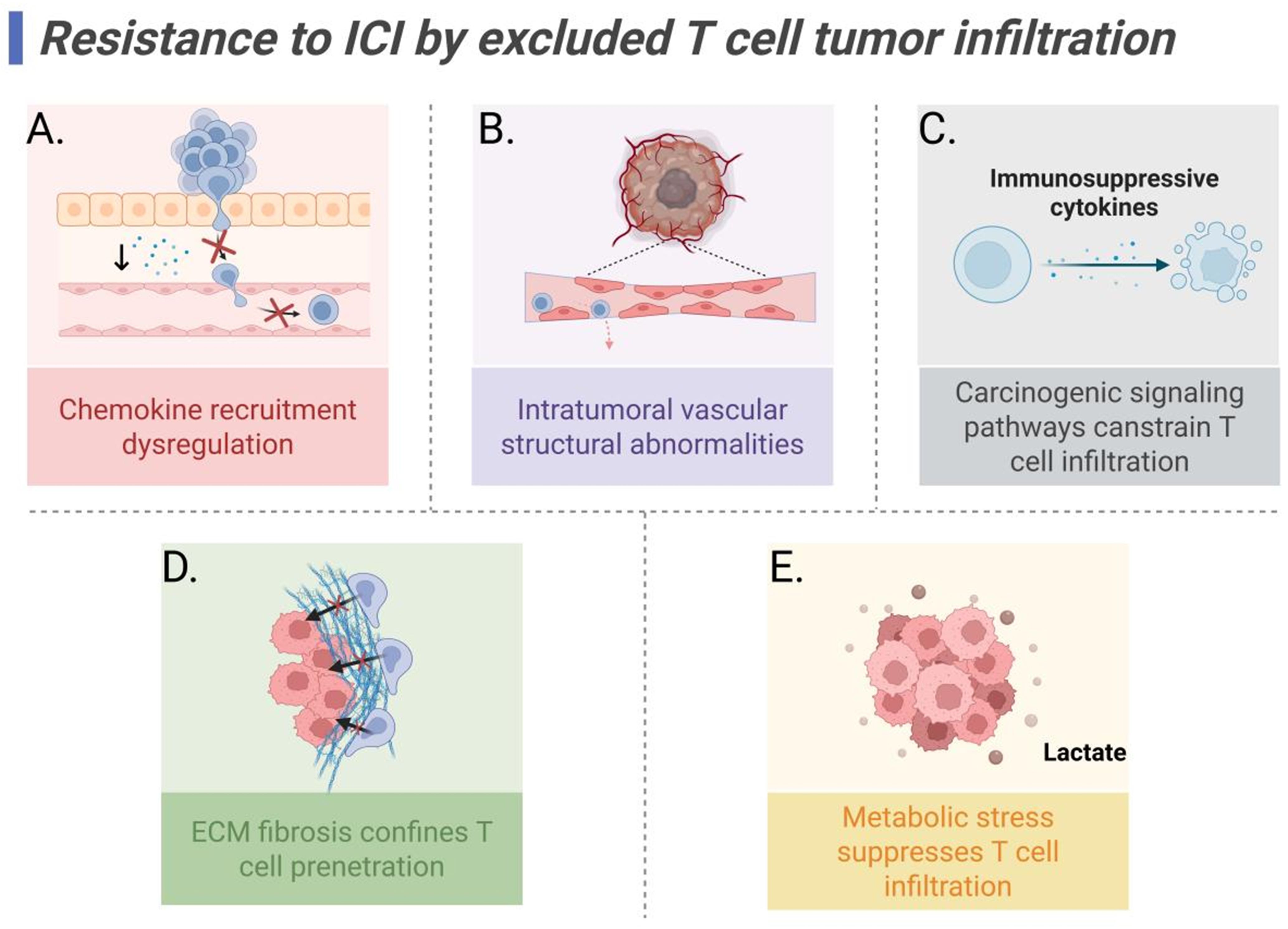 Targeting tumor-draining lymph node to overcome resistance to cancer immunotherapy: an update