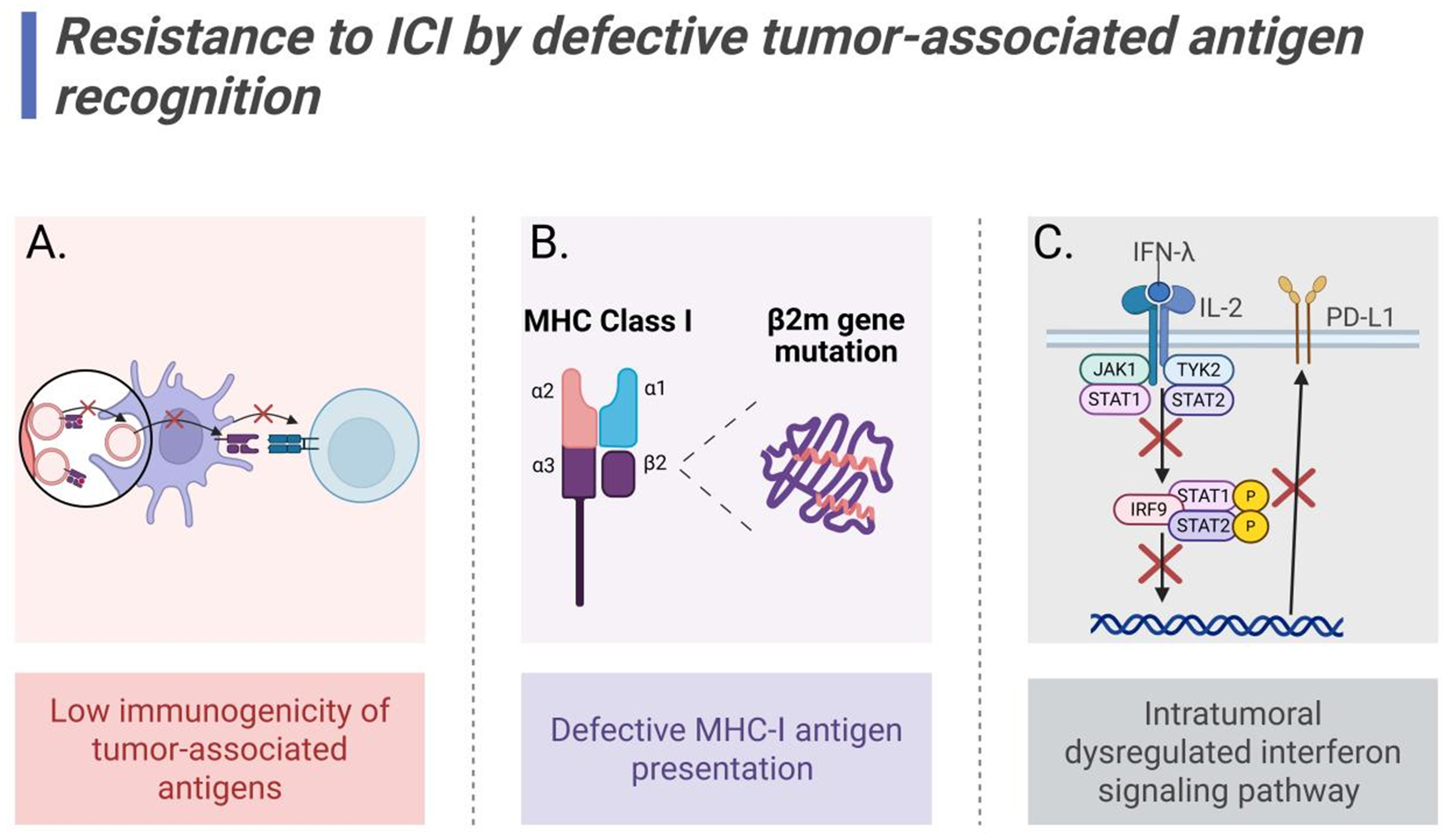 Targeting tumor-draining lymph node to overcome resistance to cancer immunotherapy: an update