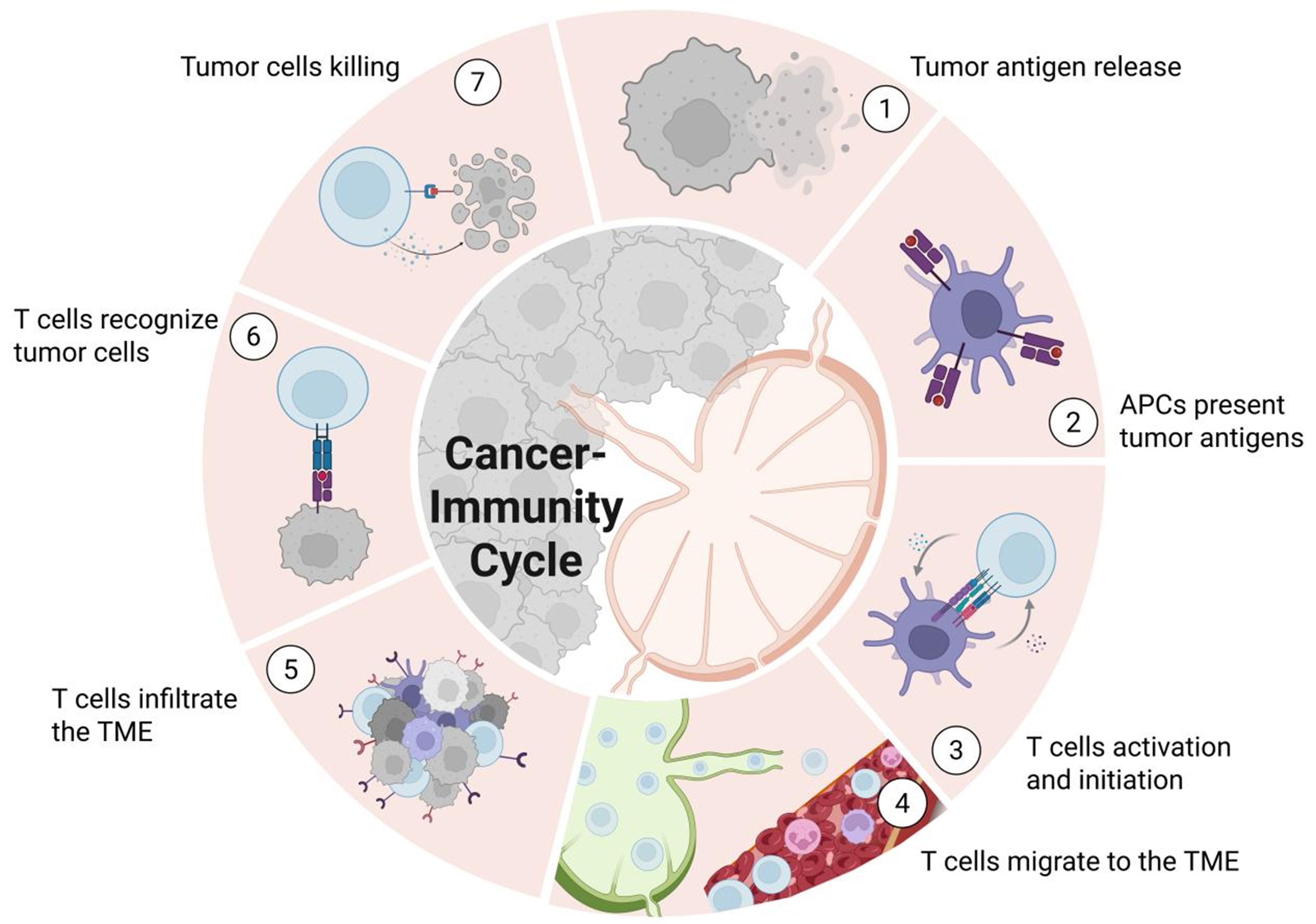 Targeting tumor-draining lymph node to overcome resistance to cancer immunotherapy: an update