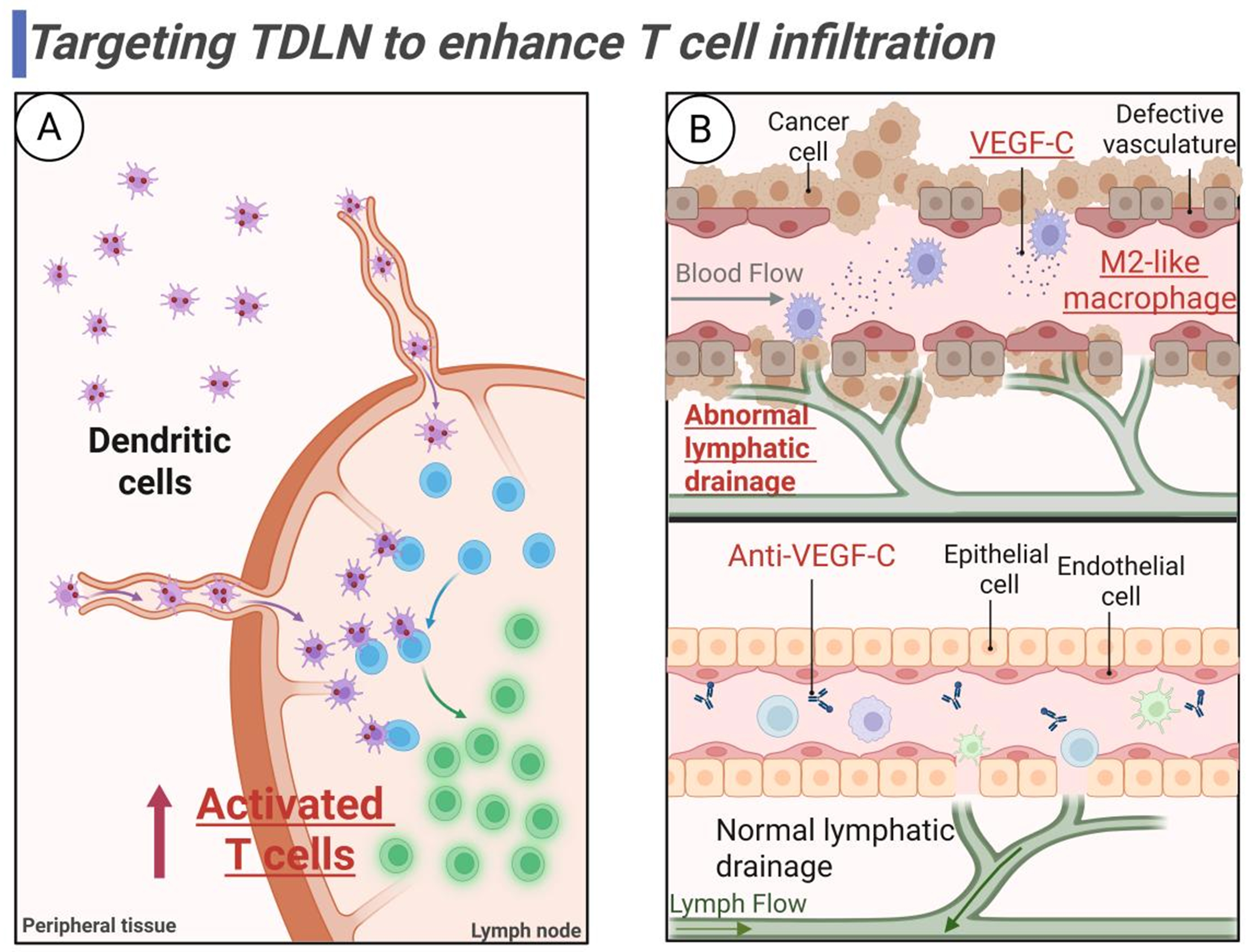 Targeting tumor-draining lymph node to overcome resistance to cancer immunotherapy: an update