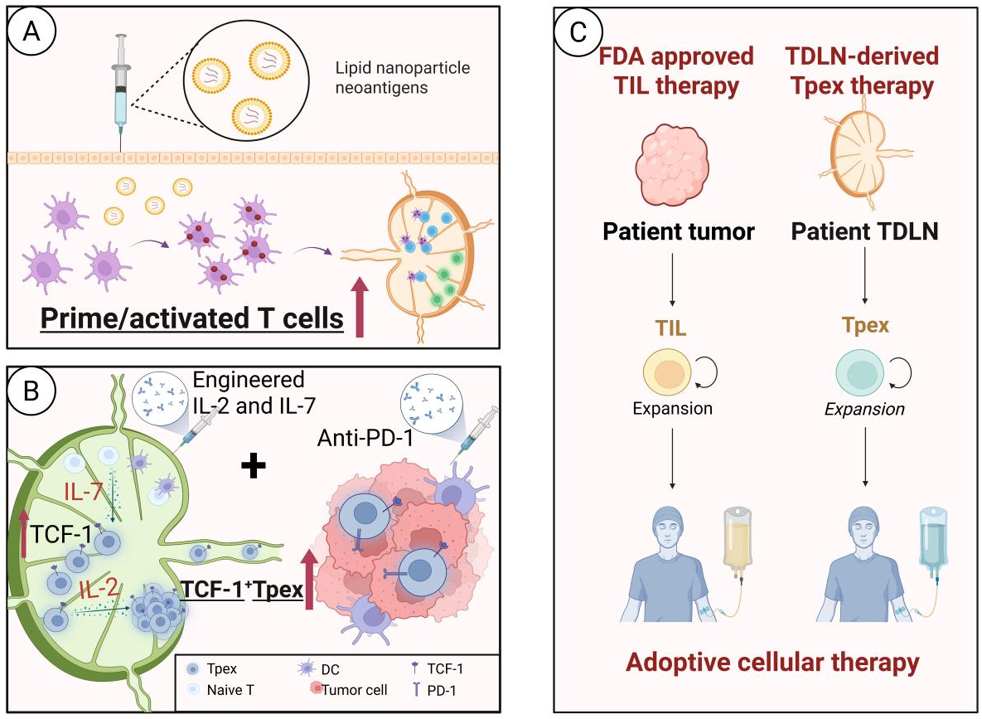 Targeting tumor-draining lymph node to overcome resistance to cancer immunotherapy: an update