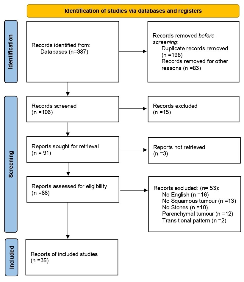 Squamous cell carcinoma of the upper urinary tract in patients with urolithiasis: a systematic review