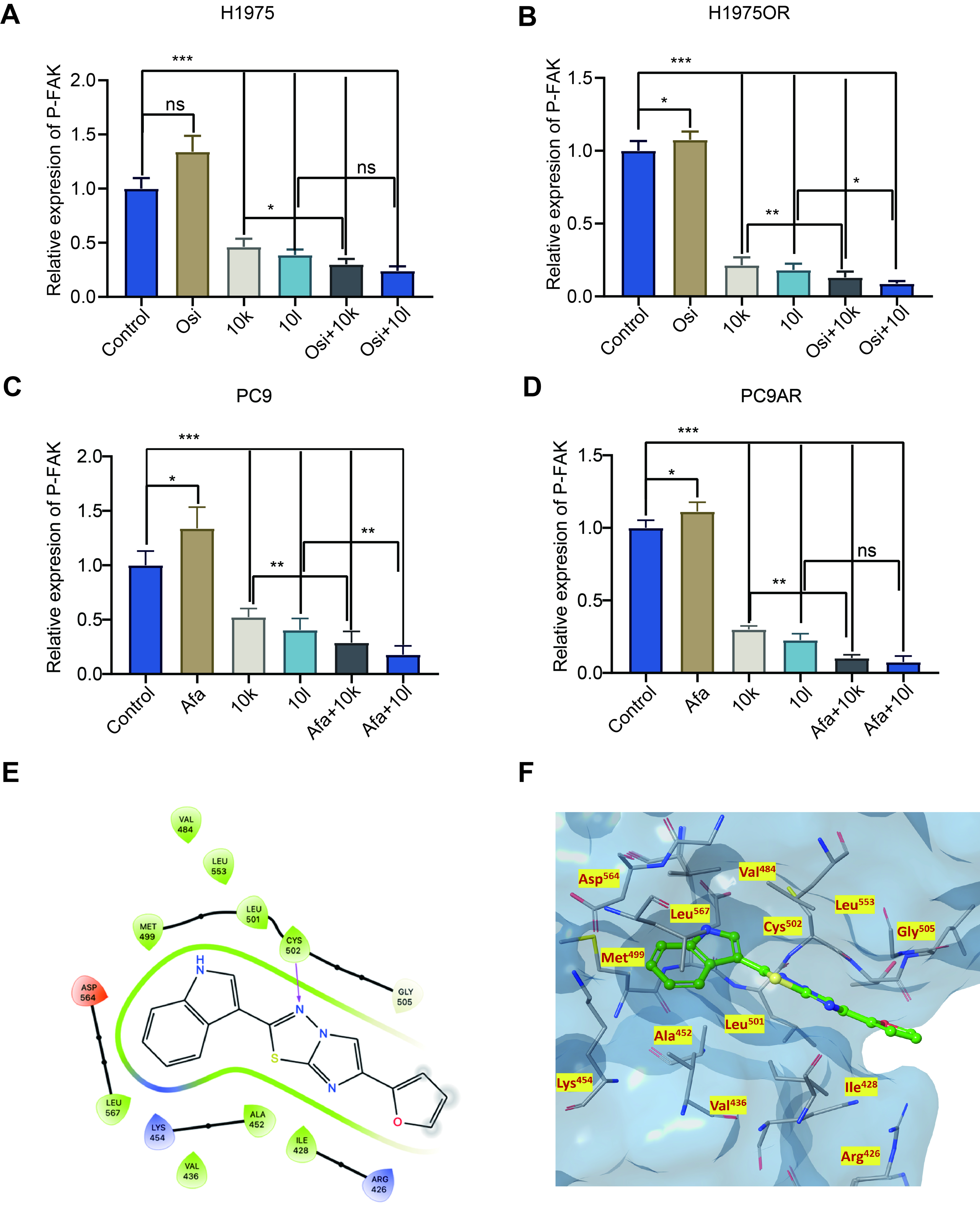 Novel FAK inhibitors suppress tumor growth and reverse EGFR-TKI resistance in non-small cell lung cancer