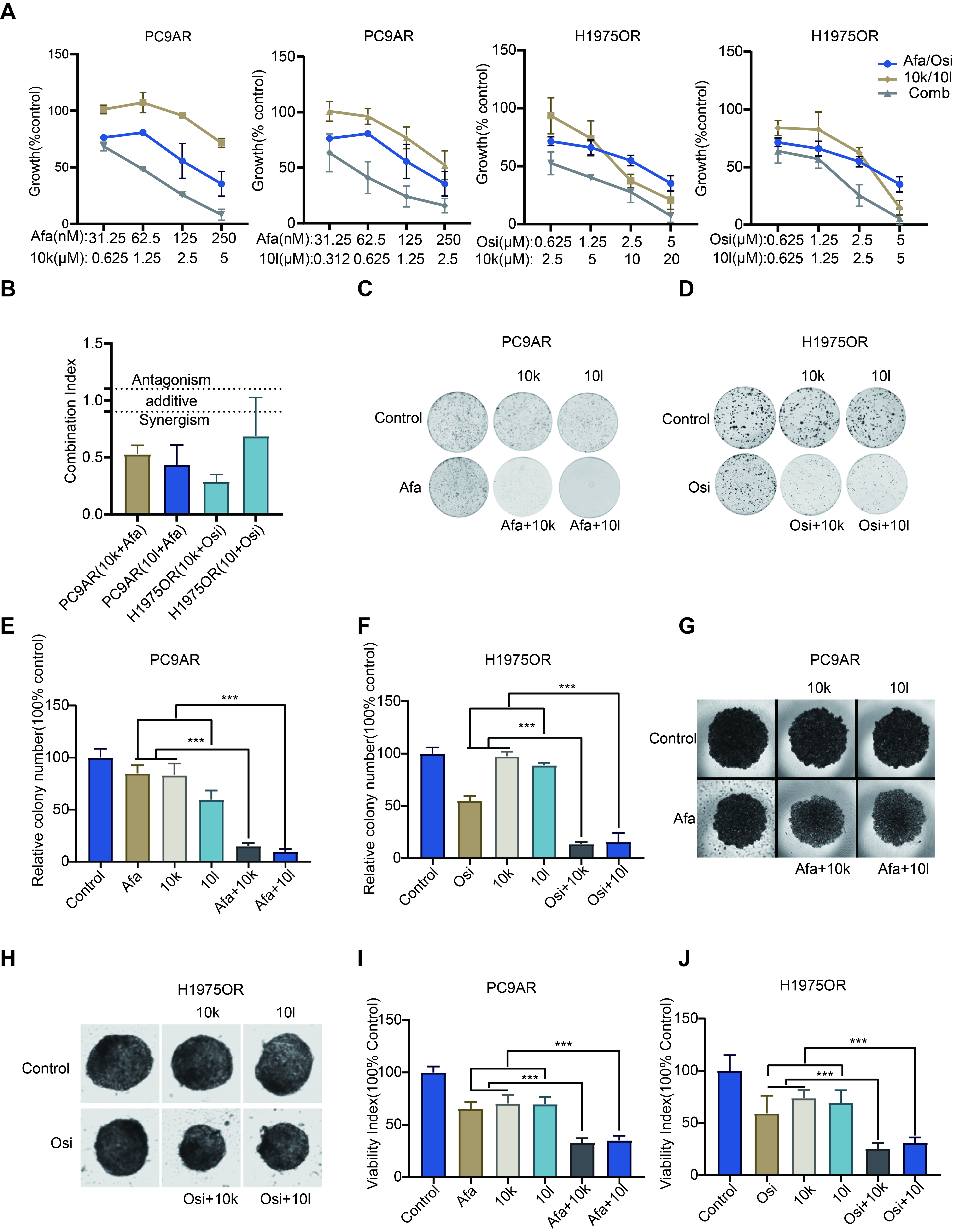 Novel FAK inhibitors suppress tumor growth and reverse EGFR-TKI resistance in non-small cell lung cancer